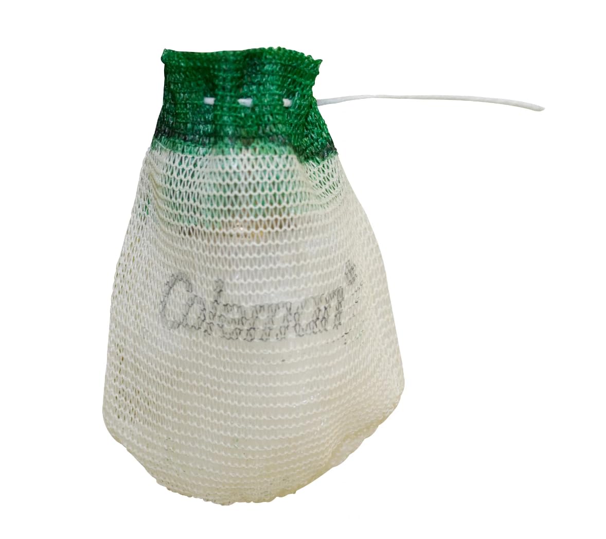 Coleman 4-Pack String Tie Lantern Mantles, Four Coleman Lantern Mantles for Fueled Lighting