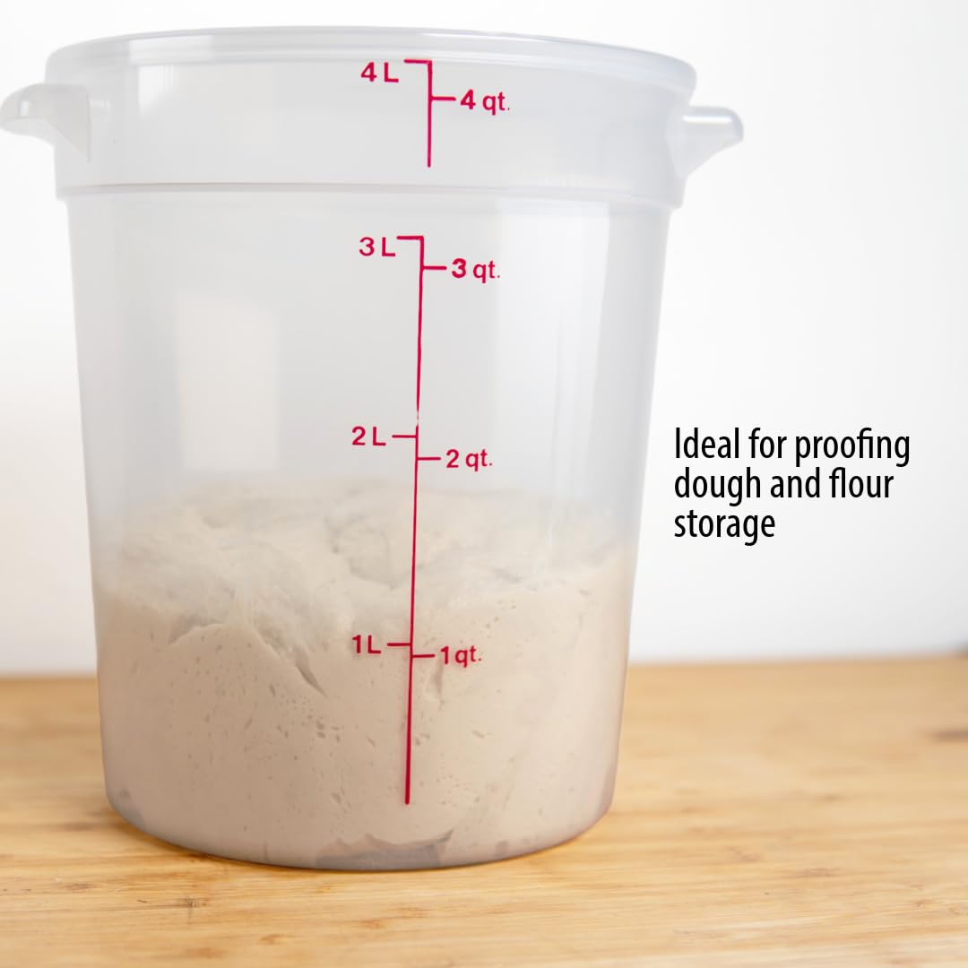 Cambro Food Storage Containers with Lids (BPA-Free) - 4 Quart Food Storage Container (2 Pack)