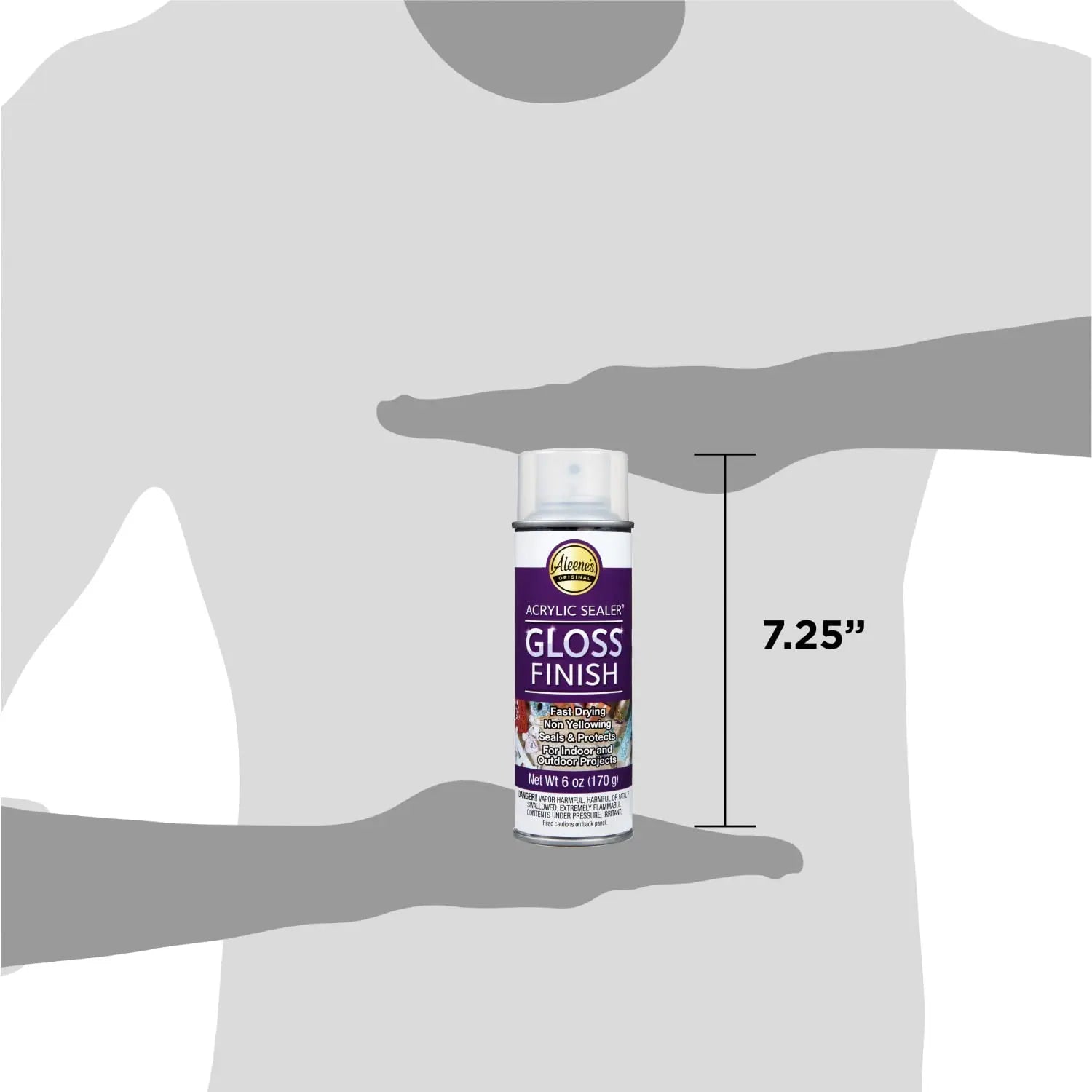Aleene's 26412 Spray Gloss Finish, 6 Oz Acrylic Sealer, Original Version