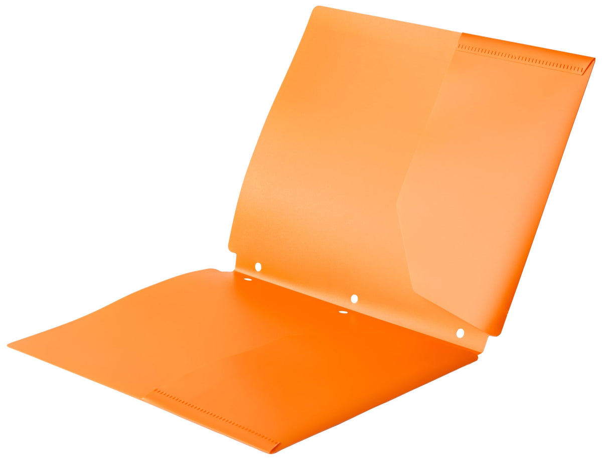Basics Plastic 3 Hole Punch Folders with 2 Pockets, 8.5 x 11 inches, Pack of 12, Assorted Color