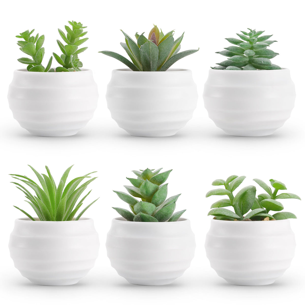 {{Product title}} | Buy from the USA & Ship Worldwide | 2PriceTags