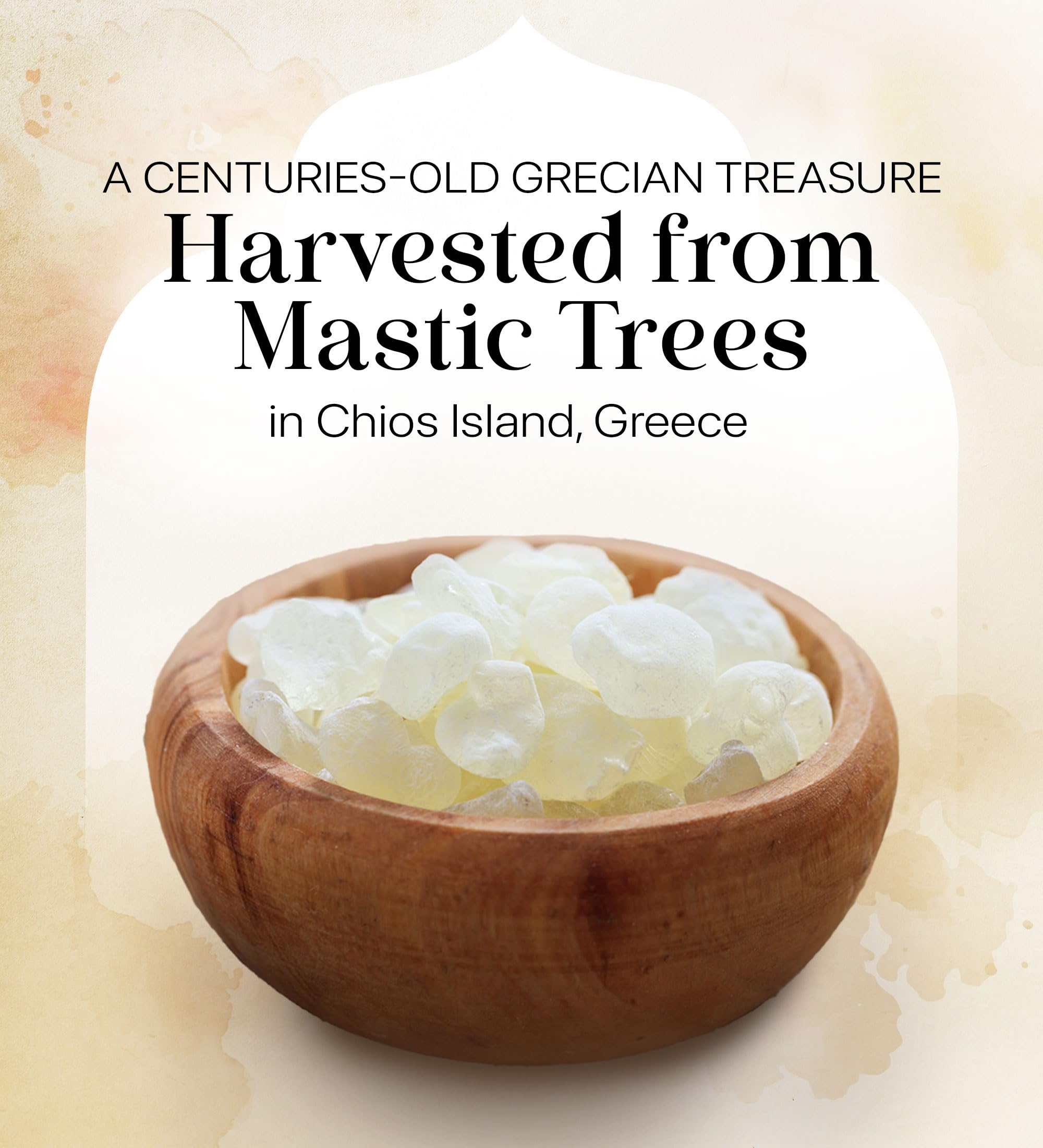 Cerez Pazari Natural Mastic Gum 0.88 oz (25g), Greek Chios Pure Resin, Sugarless Gum Made From Resin Of Mastiha Trees, Jaw Exerciser, Vegan, Non-GMO