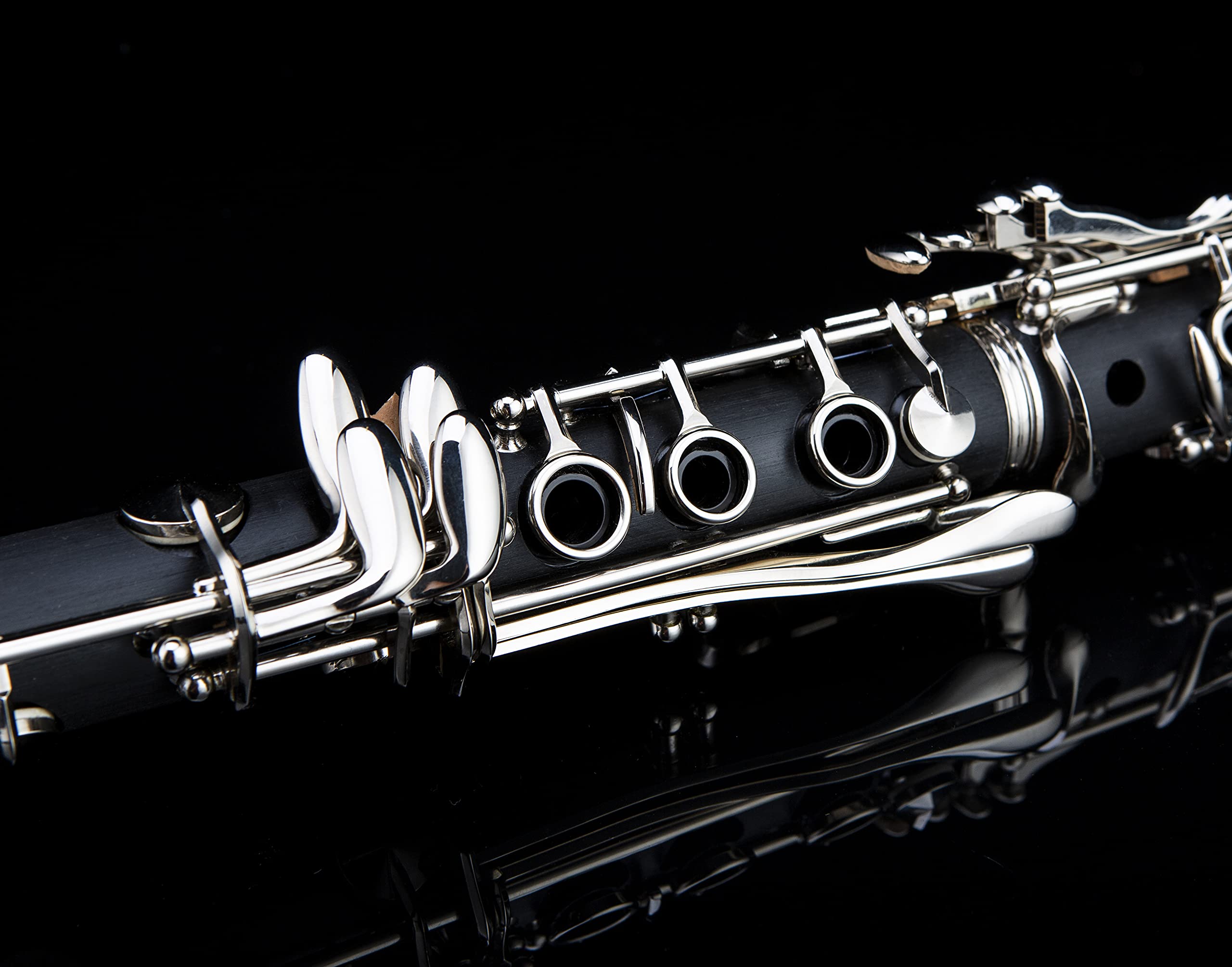 Glory GLY-PBK Professional Ebonite Bb Clarinet with 10 Reeds, Stand, Hard Case, Cleaning Cloth, Cork grease, Mouthpiece Brush and Pad Brush, Black