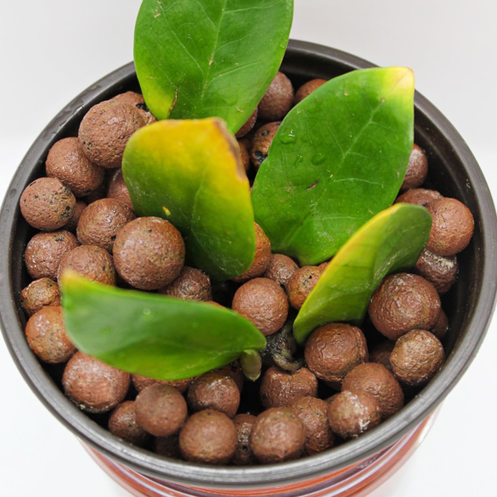 Halatool 2 LB Natural Expanded Clay Pebbles for Plants 4mm-16mm Clay Balls 100% Organic Hydroton Leca Balls for Indoor Plants Hydroponic Growing Gardening Orchids Drainage Decoration Aquaponics