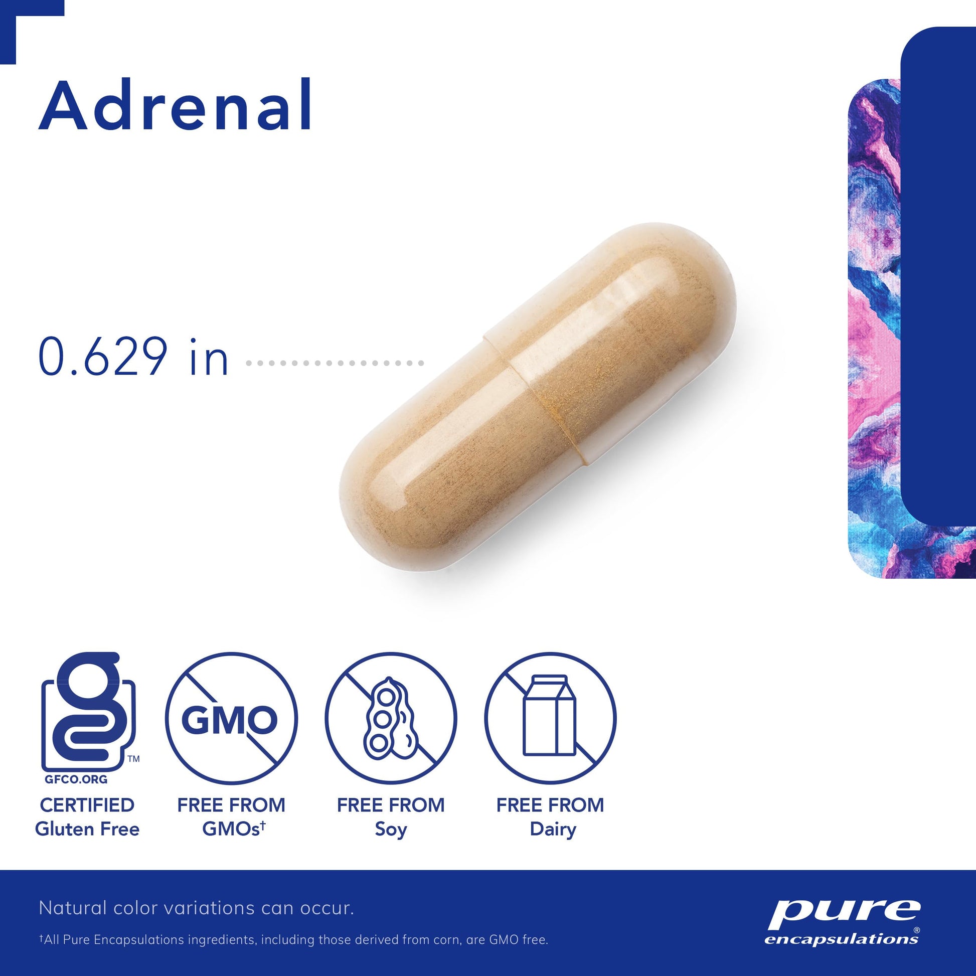 Pure Encapsulations Adrenal Cortex Supplement – Supplement to Support Cortisol Health, Energy Levels, Stress Moderation, and Gland Function – with Bovine Whole Adrenal & Cortex – 60 Capsules*
