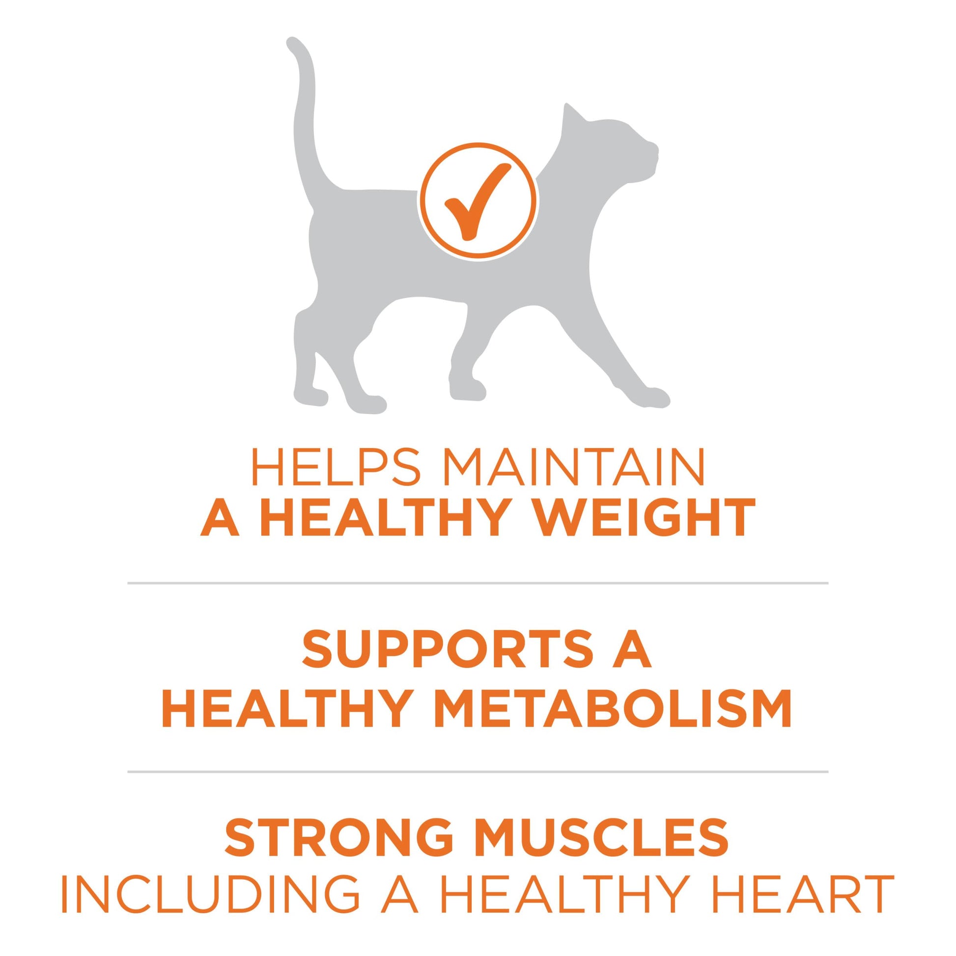Purina ONE High Protein, Healthy Plus Ideal With Chicken Dry Cat Food Control Formula - 7 lb. Bag