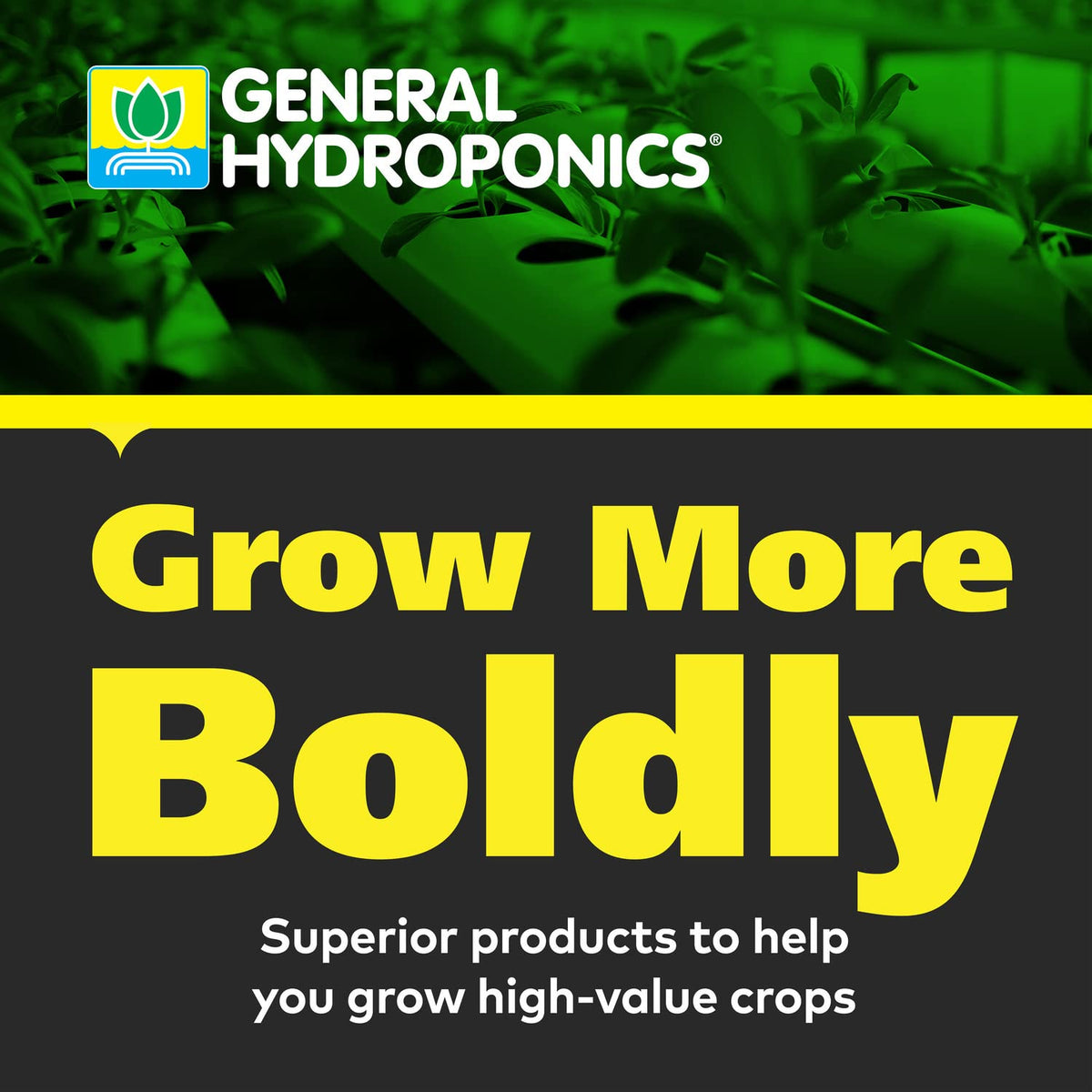 General Hydroponics CALiMAGic 1-0-0, Concentrated Blend of Calcium & Magnesium, Secondary Nutrient Deficiencies Helps Prevent Blossom End Rot & Tip Burn, Clean, Soluble, 1-Quart