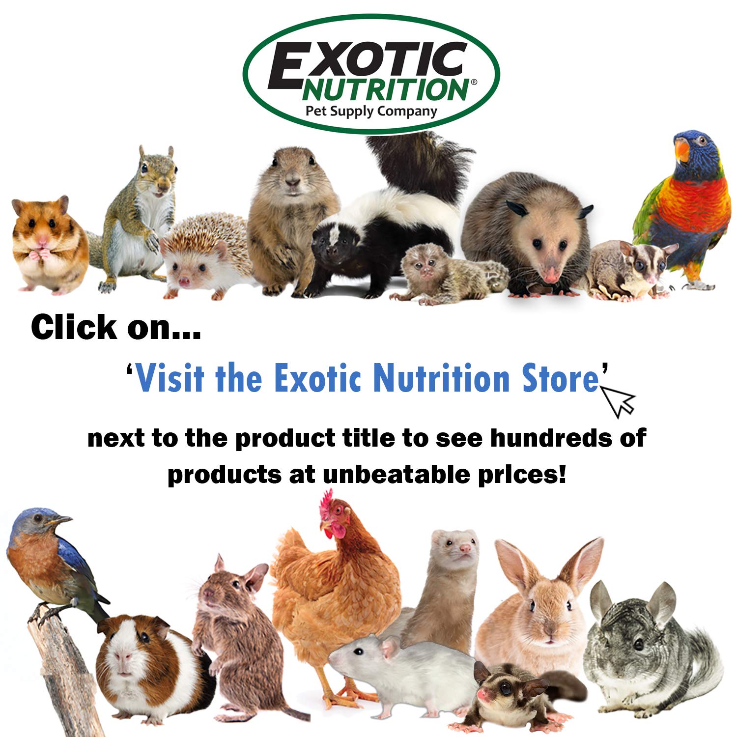 Pasture Plus+ Dandelion Delicacy - Healthy Natural High-Fiber Dried Flower Treat - Squirrels, Guinea Pigs, Rabbits, Chinchillas, Prairie Dogs, Degus, Hamsters, Gerbils & Other Small Pets