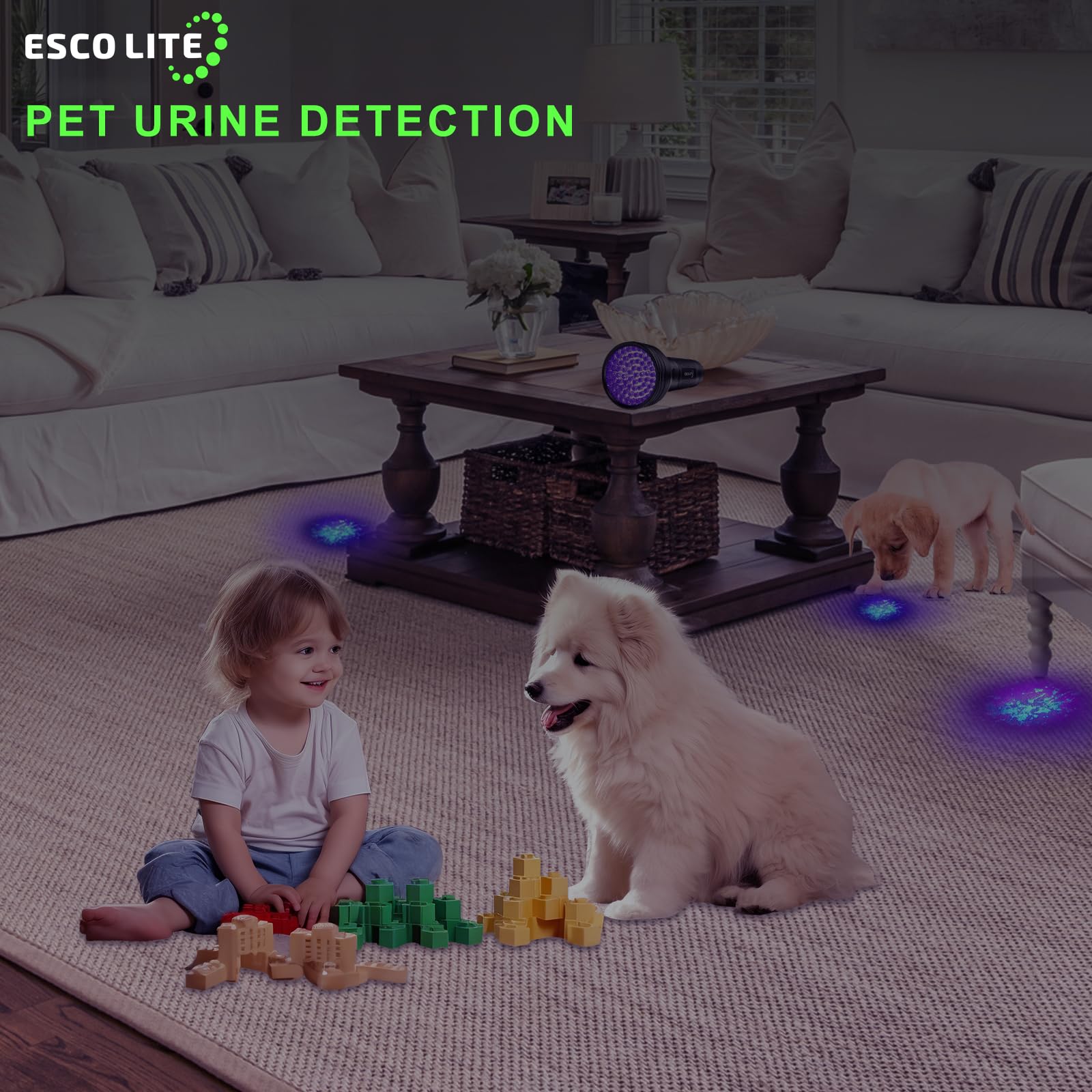 ESCO LITE Escolite UV Flashlight Black Light, 51 LED 395 nM Ultraviolet Blacklight Detector for Dog Urine, Pet Stains and Bed Bug