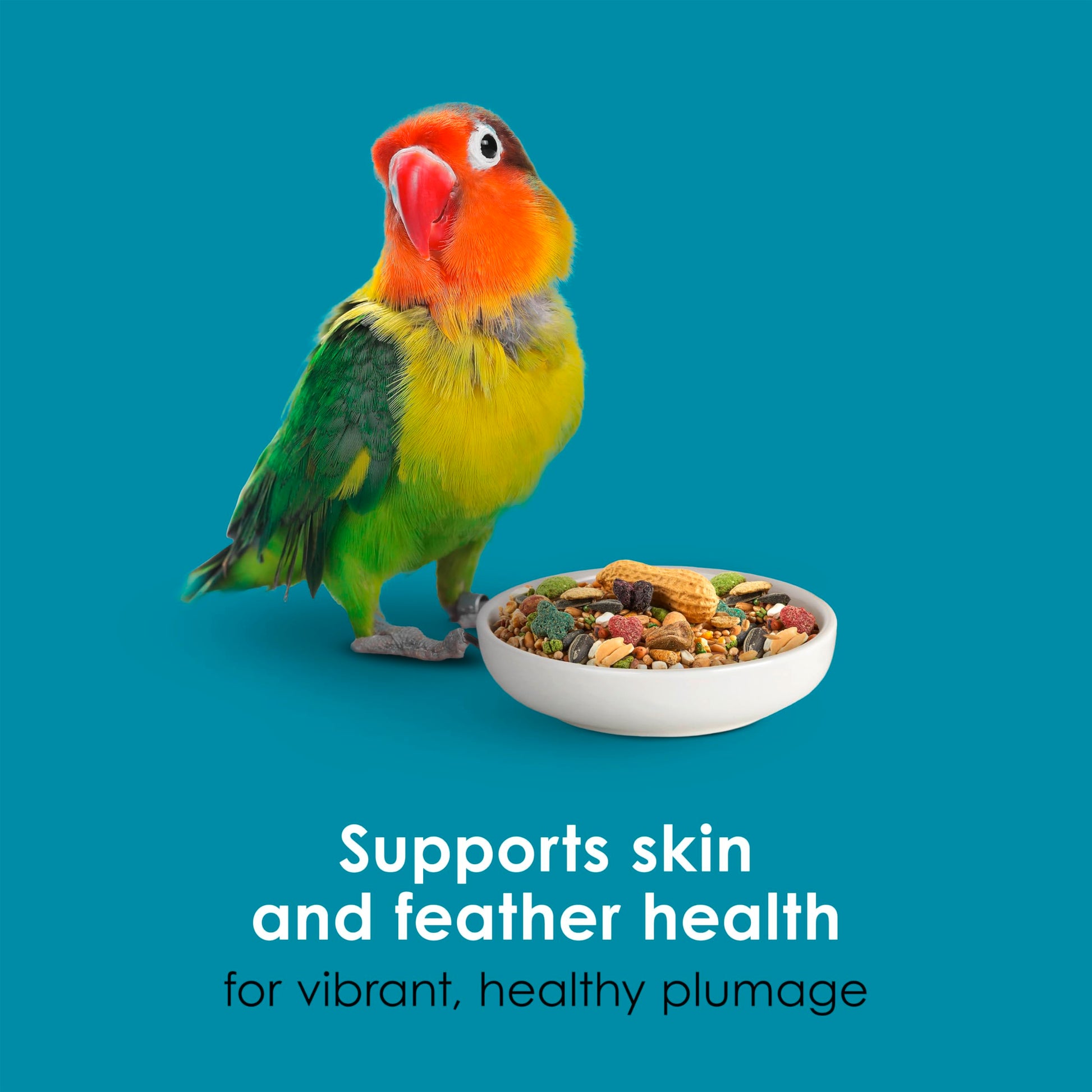 Kaytee Forti-Diet Pro Health Nourish+Protect Conure & Lovebird Food, Comprehensive Nutrition Backed by Science, Digestive Health, Immune Support, 4 pounds