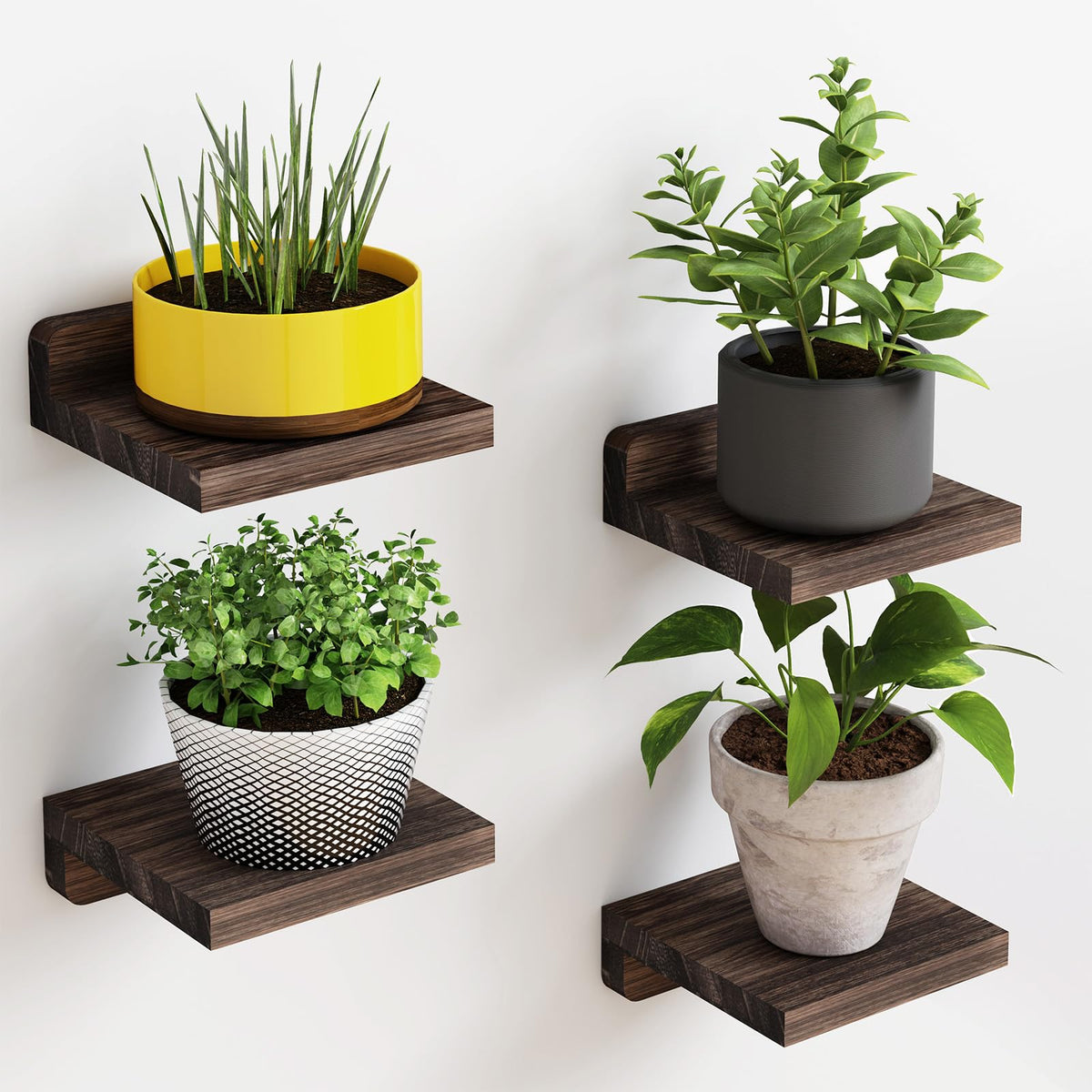 {{Product title}} | Buy from the USA & Ship Worldwide | 2PriceTags
