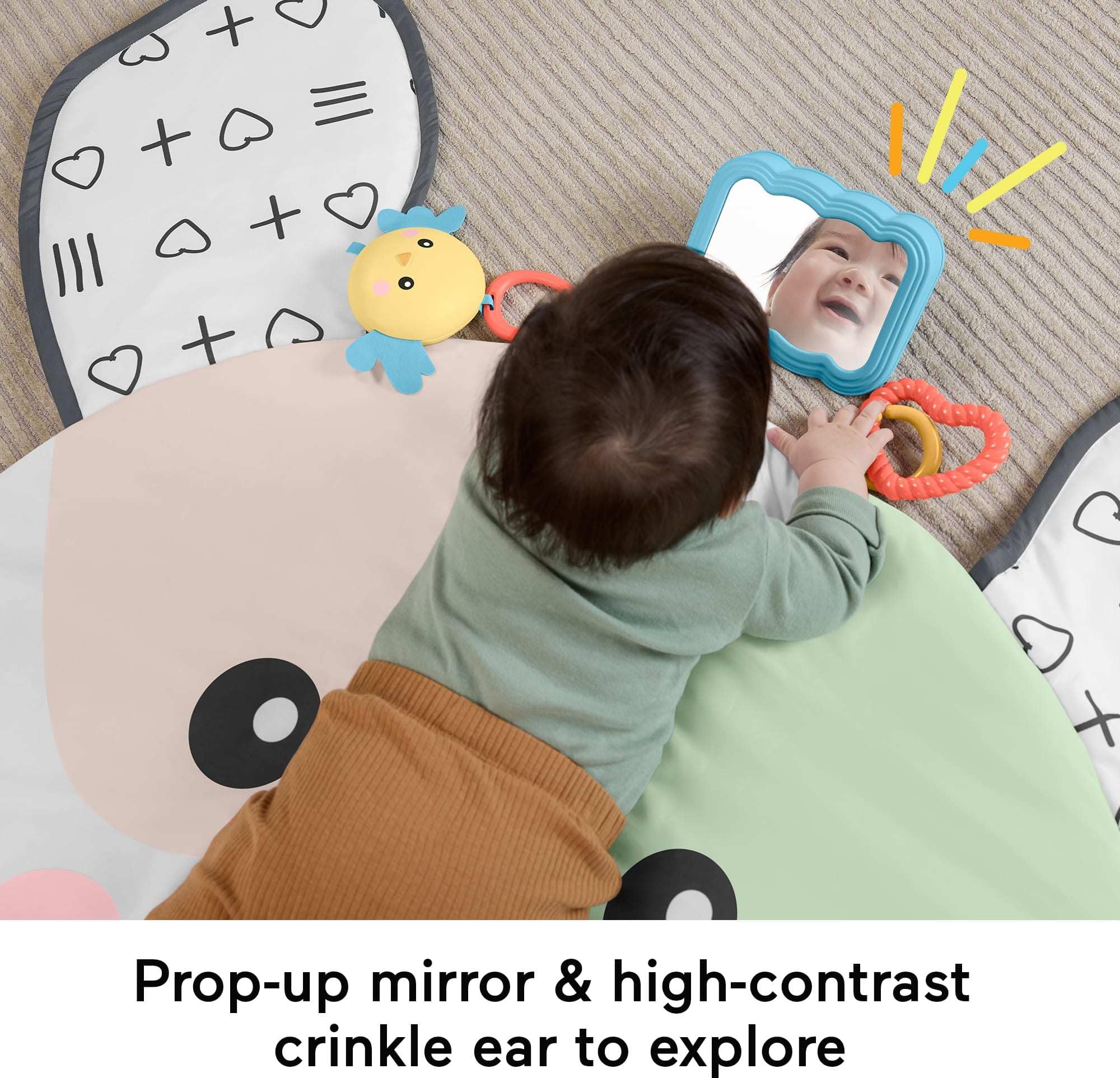 Fisher-Price Baby Tummy Time Toy, Puppy Perfection Giant Play Mat with Sensory Development Activities for Newborns 0+ Months (Amazon Exclusive)