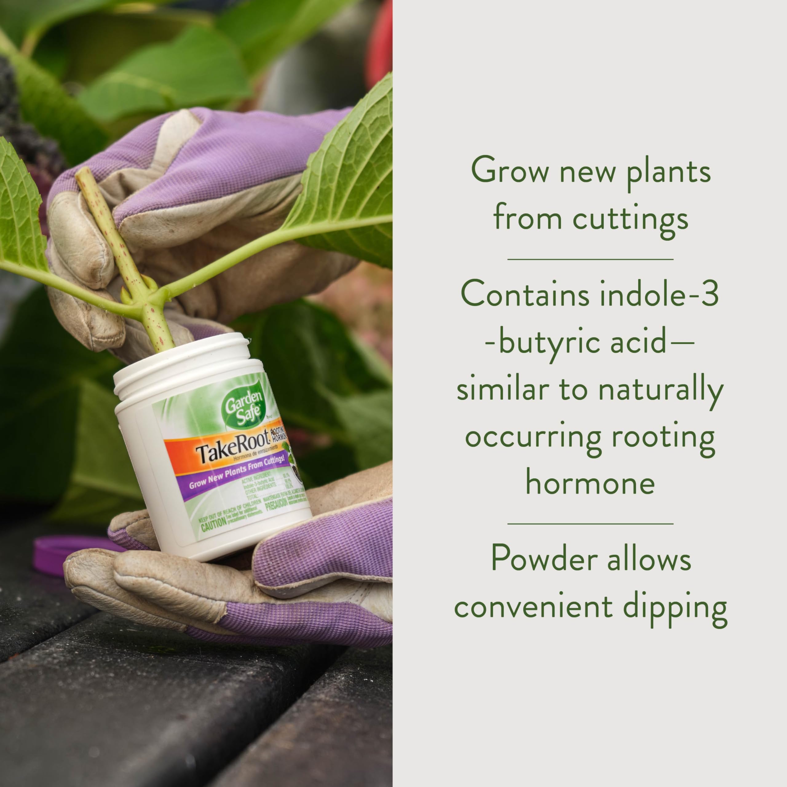 Garden Safe Brand TakeRoot Rooting Hormone, 2 Count, Powder Helps Grow New Plants from Cuttings Including Most Home, Garden and Greenhouse Varieties, 2 Pack