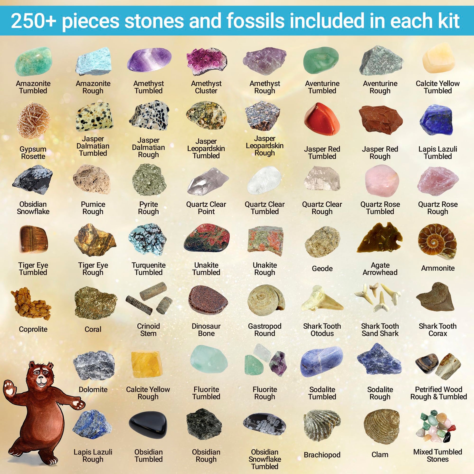 DANCING BEAR Rock, Mineral & Geodes Treasure Hunt Activity Kit (250 Pc Set) Real Shark Teeth Fossils, ID Sheet & Rock Book, STEM