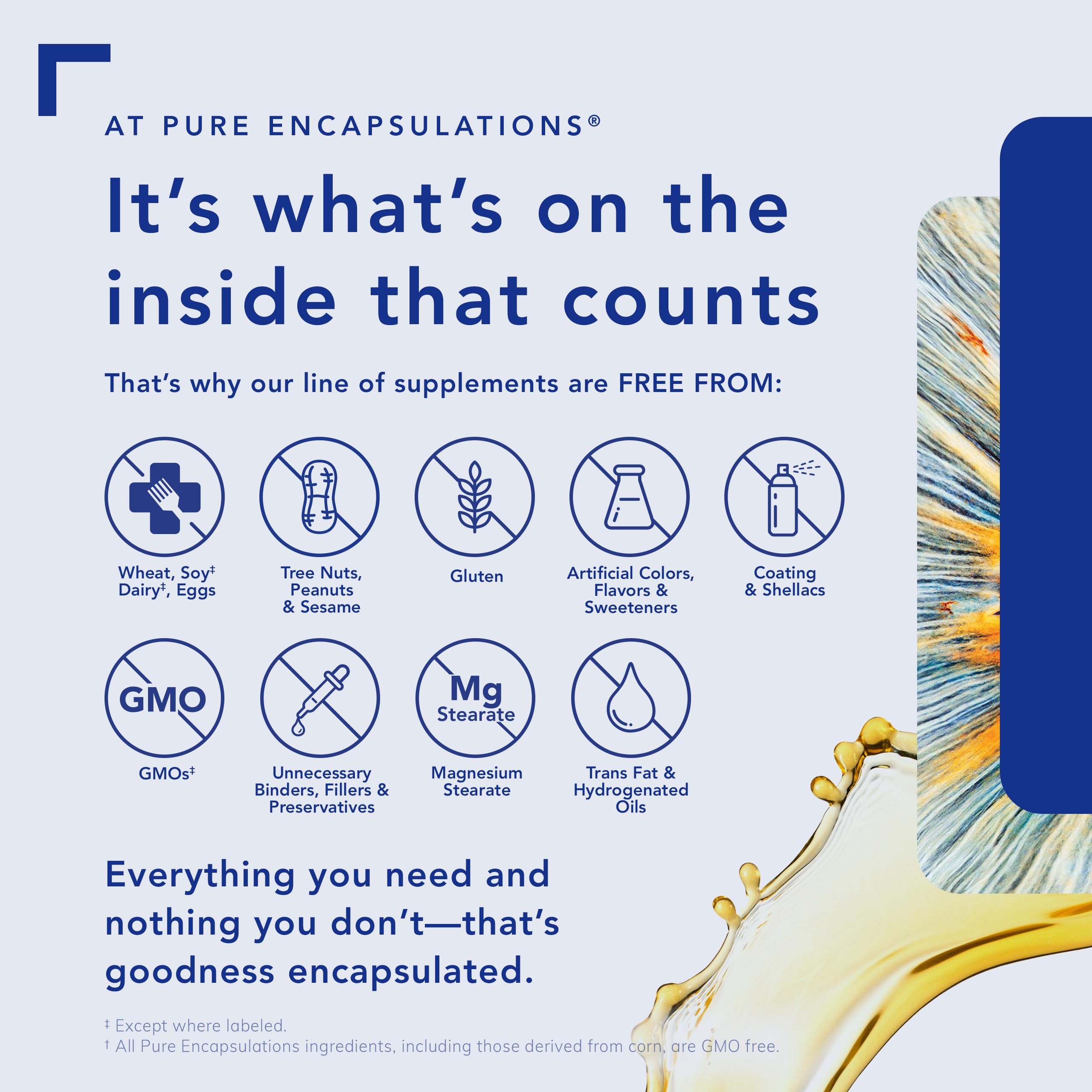 Pure Encapsulations L-Theanine - Amino Acid Supplement to Support Relaxation, Stress & Nervous System - 60 Capsules