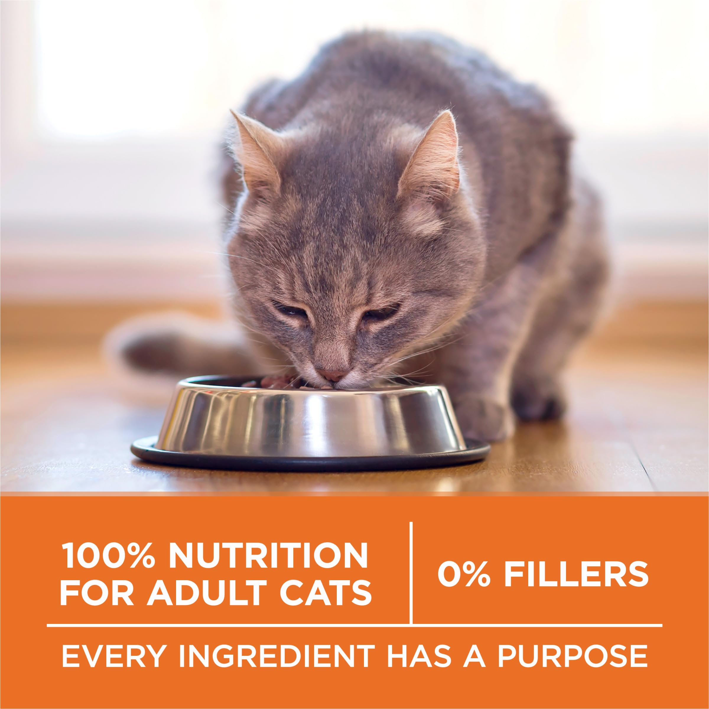 Purina ONE High Protein, Healthy Weight Plus Ideal Weigһt With Chicken Dry Cat Food Wеight Control Formula - 16 lb. Bag