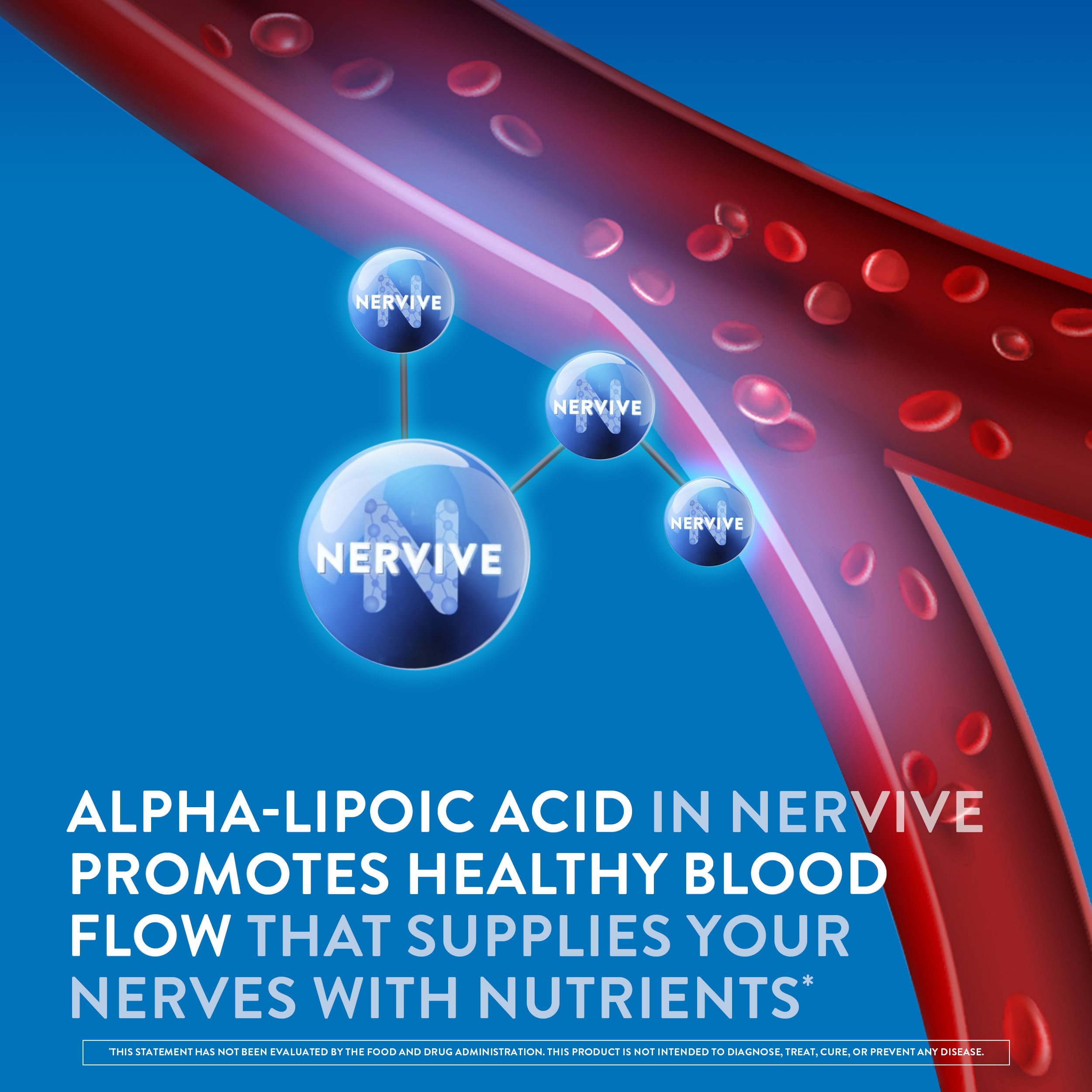 Nervive Nerve Health, with Alpha Lipoic Acid, to Fortify Nerve Health and Function in Fingers, Hands, Toes, & Feet*, and Support Healthy Circulation, ALA, Vitamins B12, B6, & B1, 30 Tablets