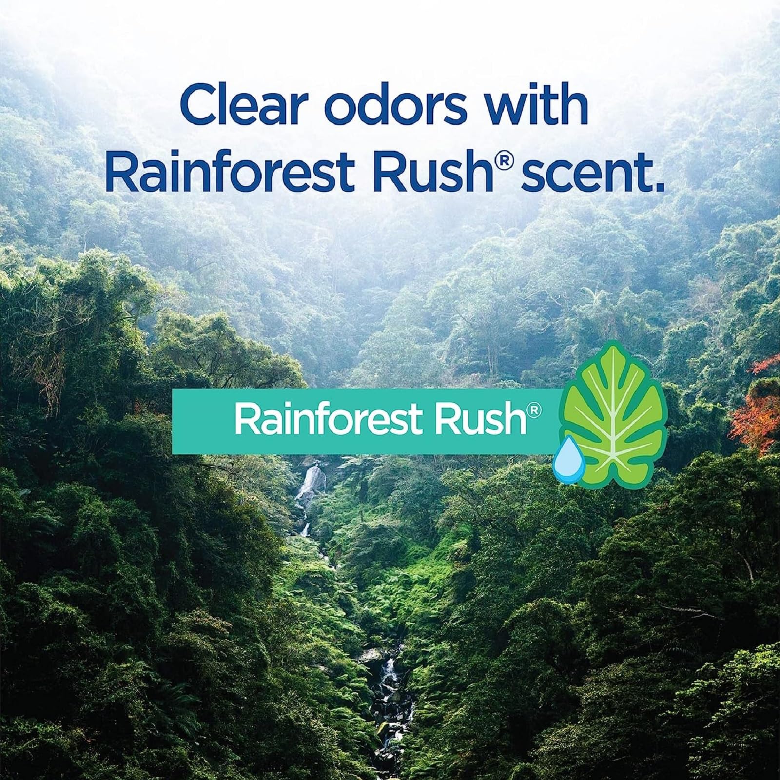 Original Clorox ToiletWand Disinfecting Refills, Rainforest Rush, 30 Ct (Package May Vary)
