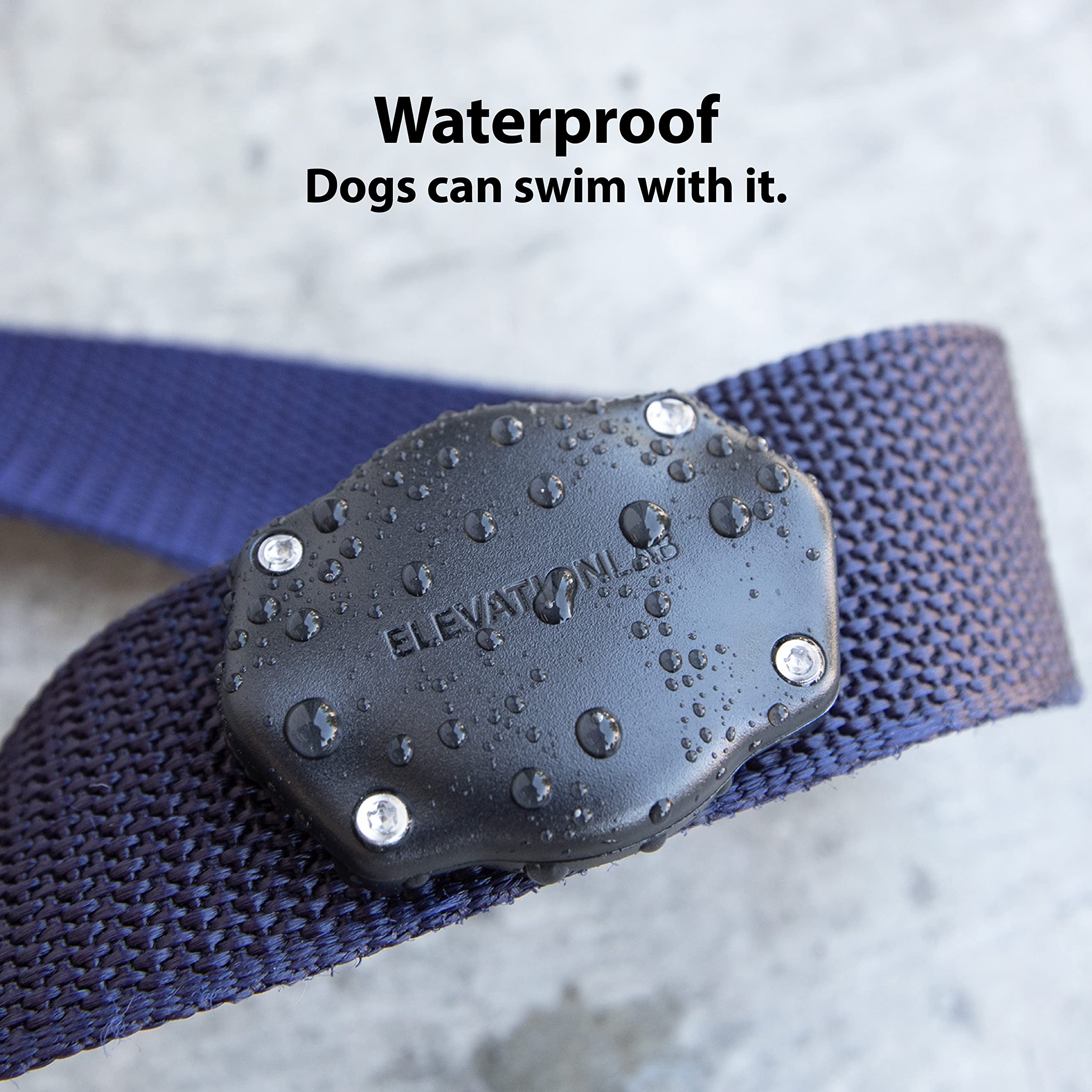 Elevation Lab TagVault AirTag Dog Collar Mount (Single) - IP69 Waterproof, Doesn't Dangle, Fits All Width Collars, Glow in The Dark