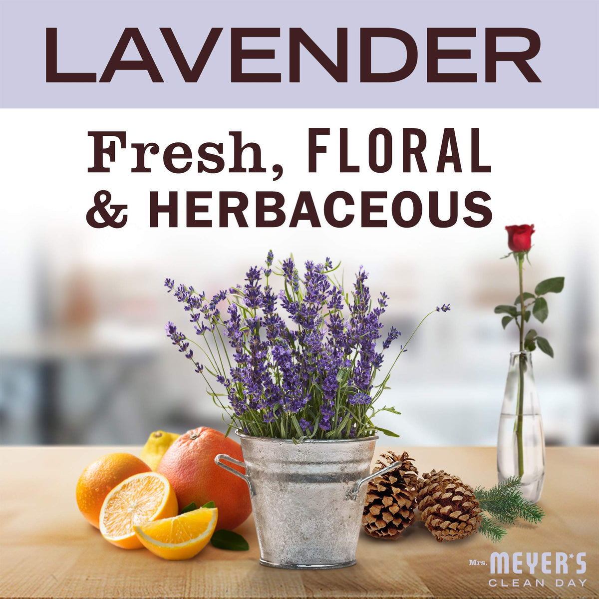 شمعة الصويا باللافندر من MRS. MEYER'S CLEAN DAY، معطّر جو منزلي مستوحى من الحديقة، مدة احتراق 35 ساعة، مصنوعة من الزيوت العطرية، 7.2 أوقية، شموع برطمان زجاجي كبيرة (عبوة من قطعتين)