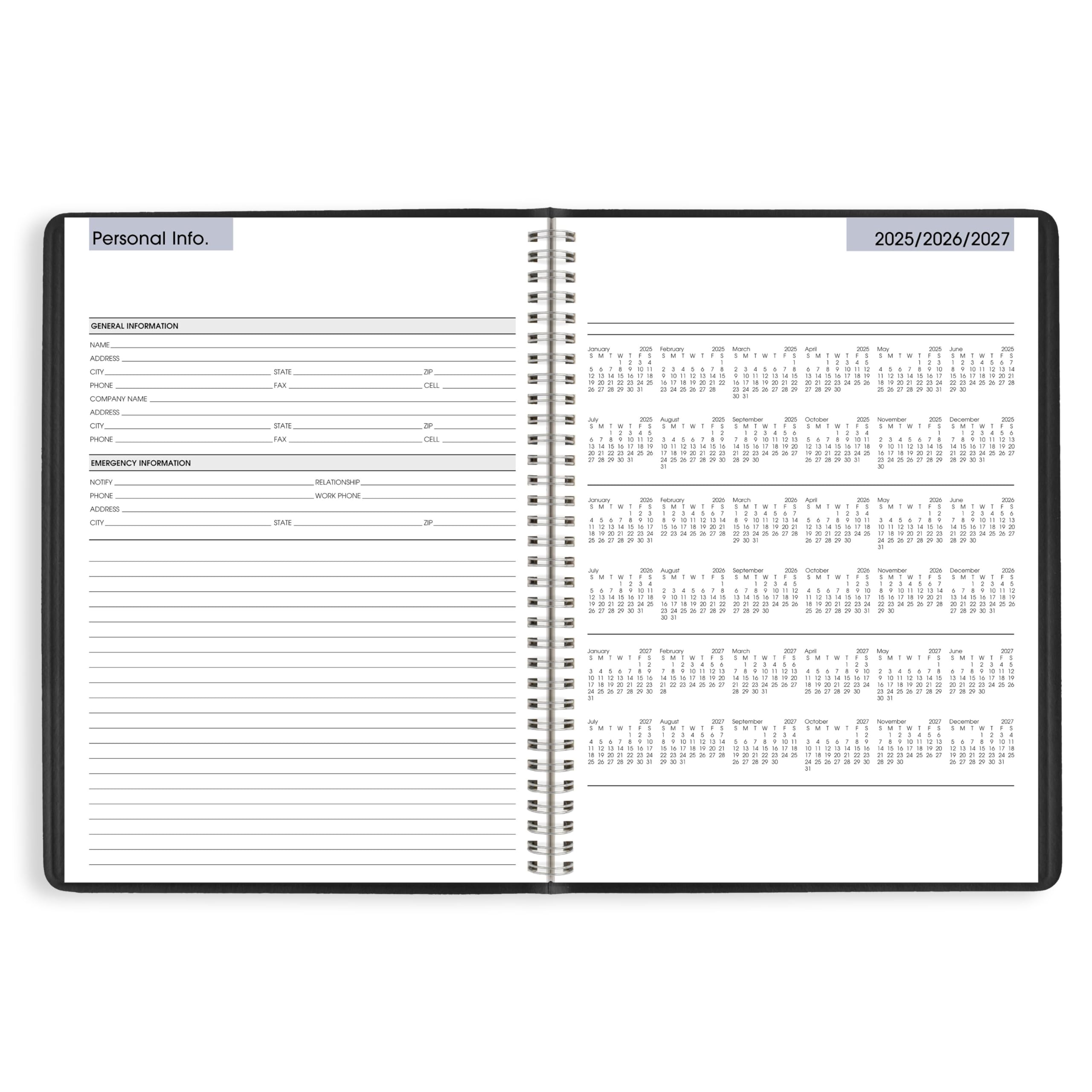 AT-A-GLANCE 2026 Appointment Book Planner, Weekly, 8" x 11", Large, Quarter-Hourly, DayMinder, Black (G5200026)
