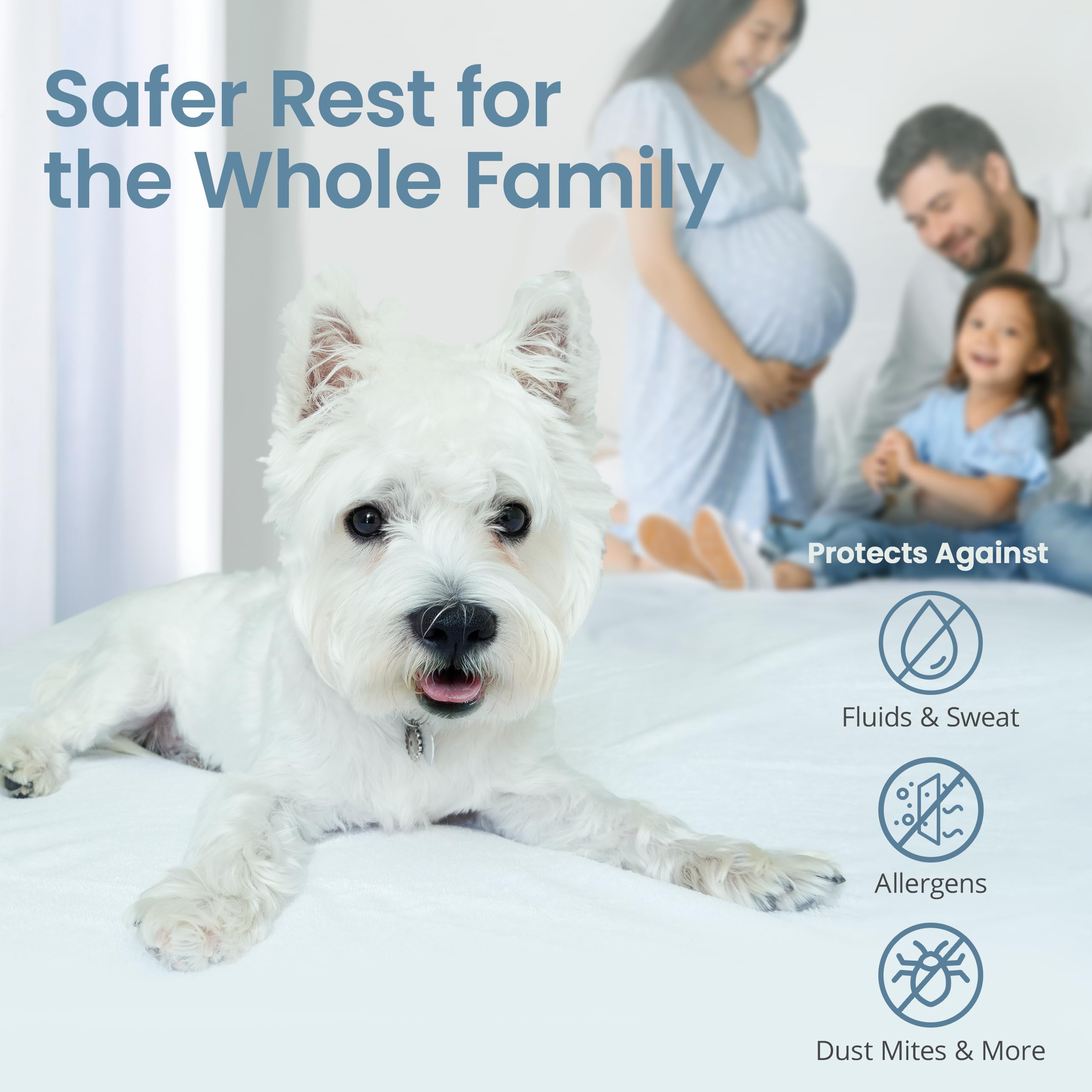 SafeRest Waterproof Queen Size Mattress Protector - Fitted with Stretchable Pockets - Machine Washable Cotton Mattress Cover for Bed