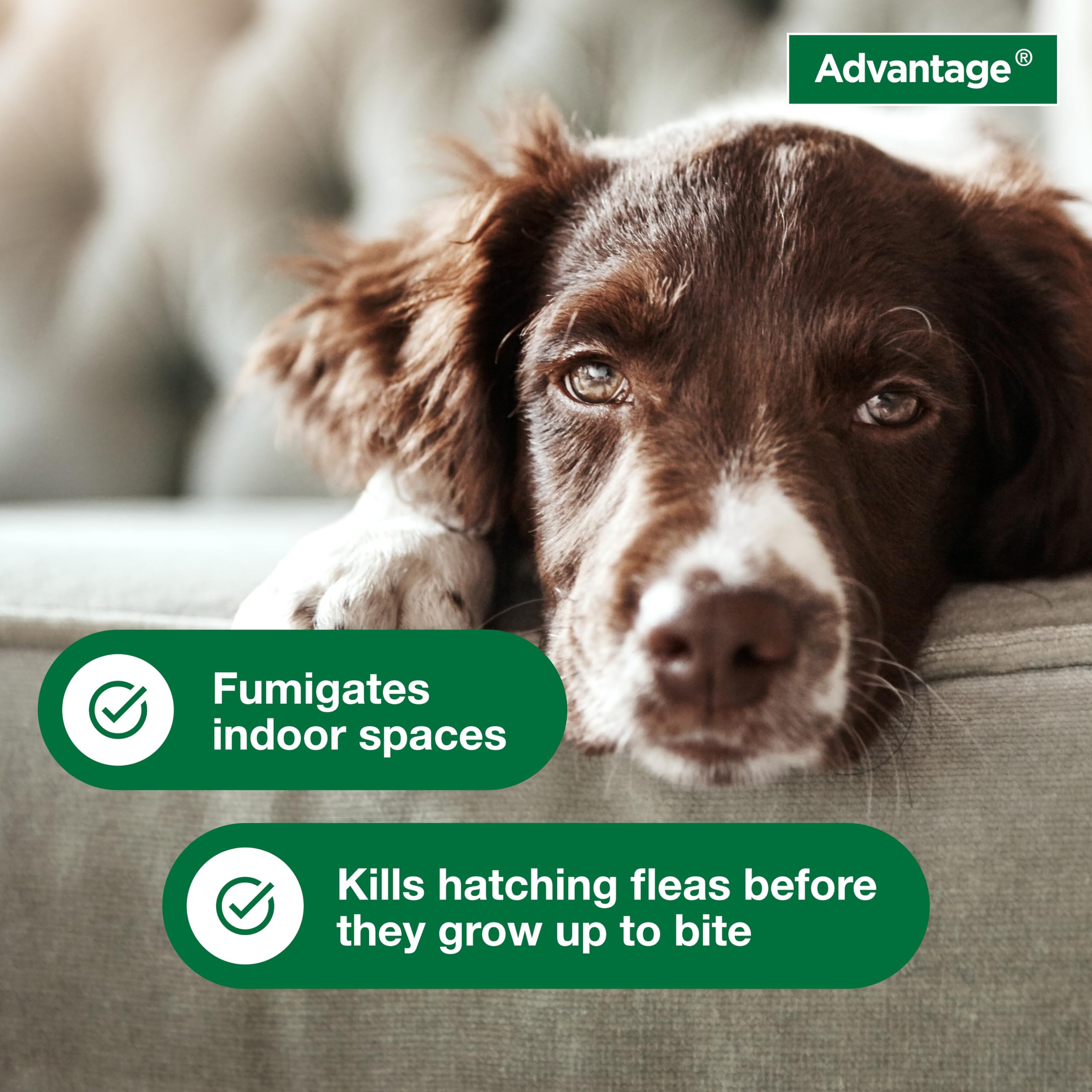 Advantage Household Fogger | Kills Fleas & Ticks | Flea Fogger for Home | 2 oz. Canisters (Pack of 3)