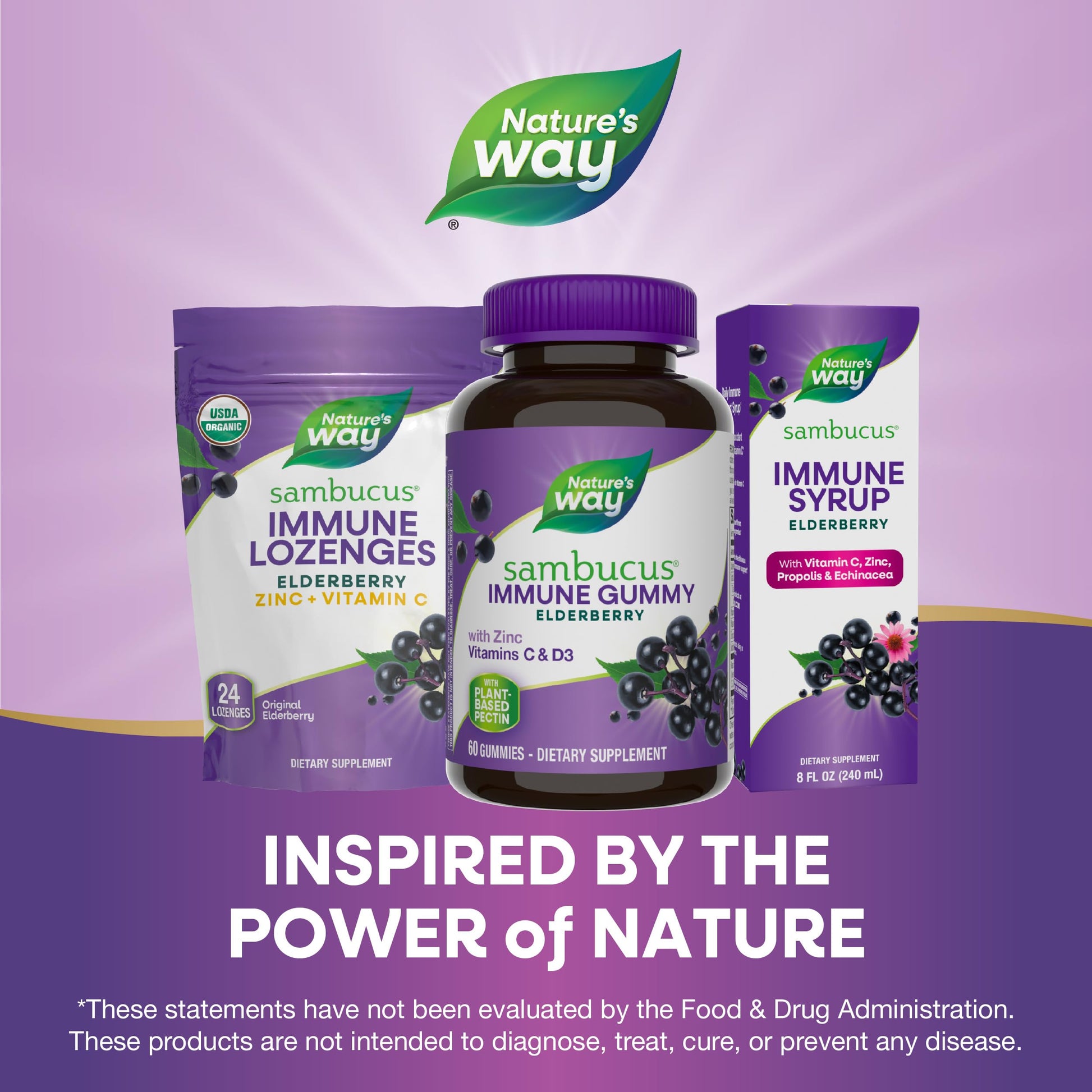 Nature’s Way Sambucus Elderberry Immune Support Gummies for Kids & Adults* with Black Elderberry Extract, Vitamin C, Vitamin D3, and Zinc, 60 Gummies (Packaging May Vary)
