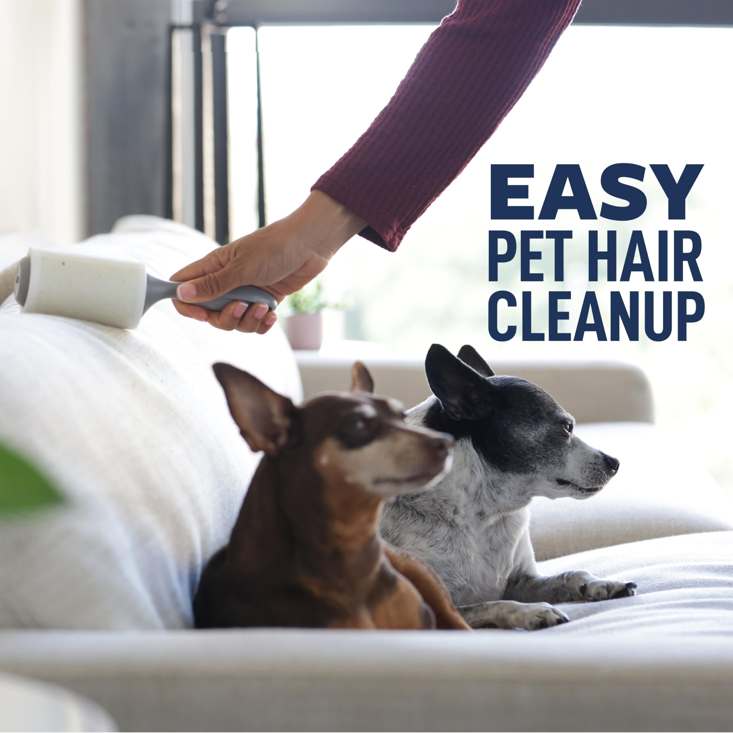 Scotch-Brite Everyday Clean Lint Roller, 3 Pack, Lint Remover for Pet Hair, Dark Clothes, Furniture, and Dusty Surfaces, Picks Up Fur & Fluff in Your Home, Car & Office, 300 Adhesive Sheets Total