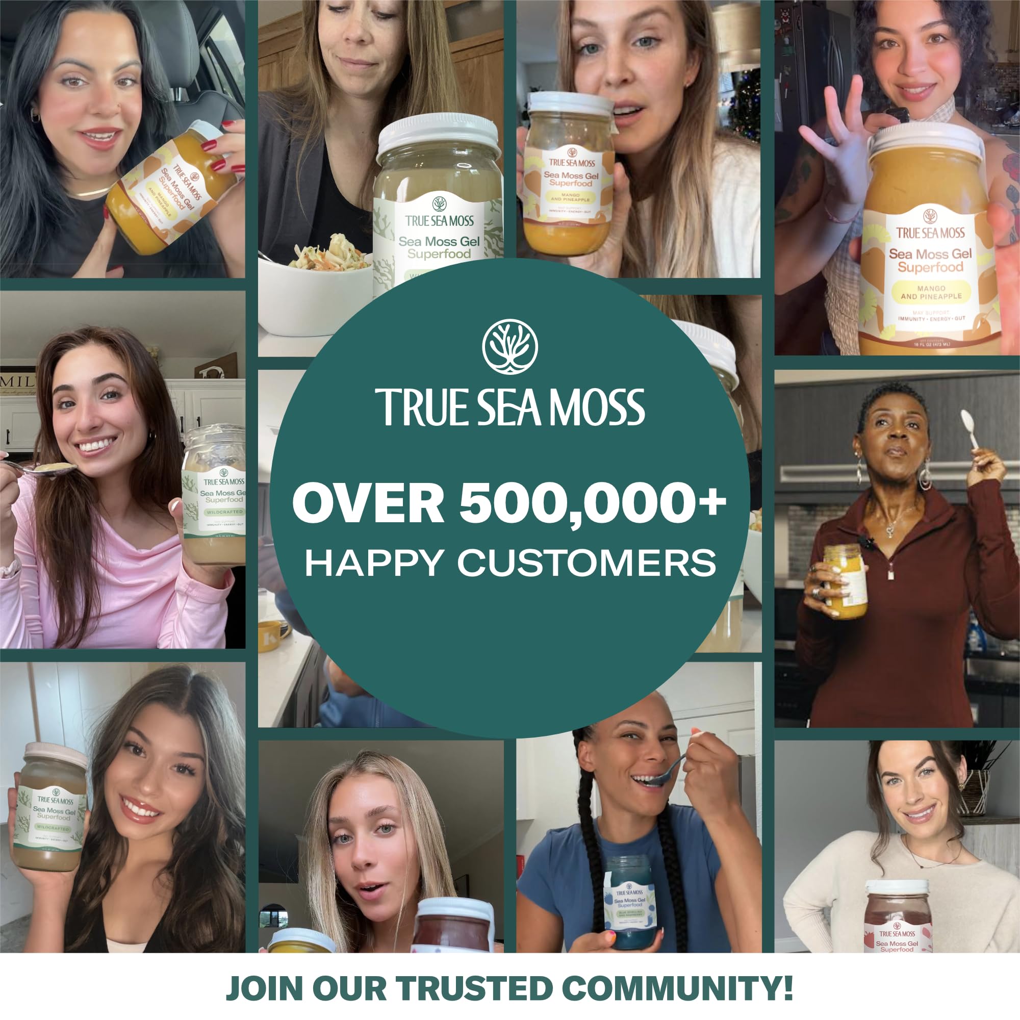 TrueSeaMoss Sea Moss Gel - Made in USA - Wildcrafted Seamoss, Fresh Fruits & Sea Vegetables - Mango/Pineapple, Pack of 1 (Labels may Vary)