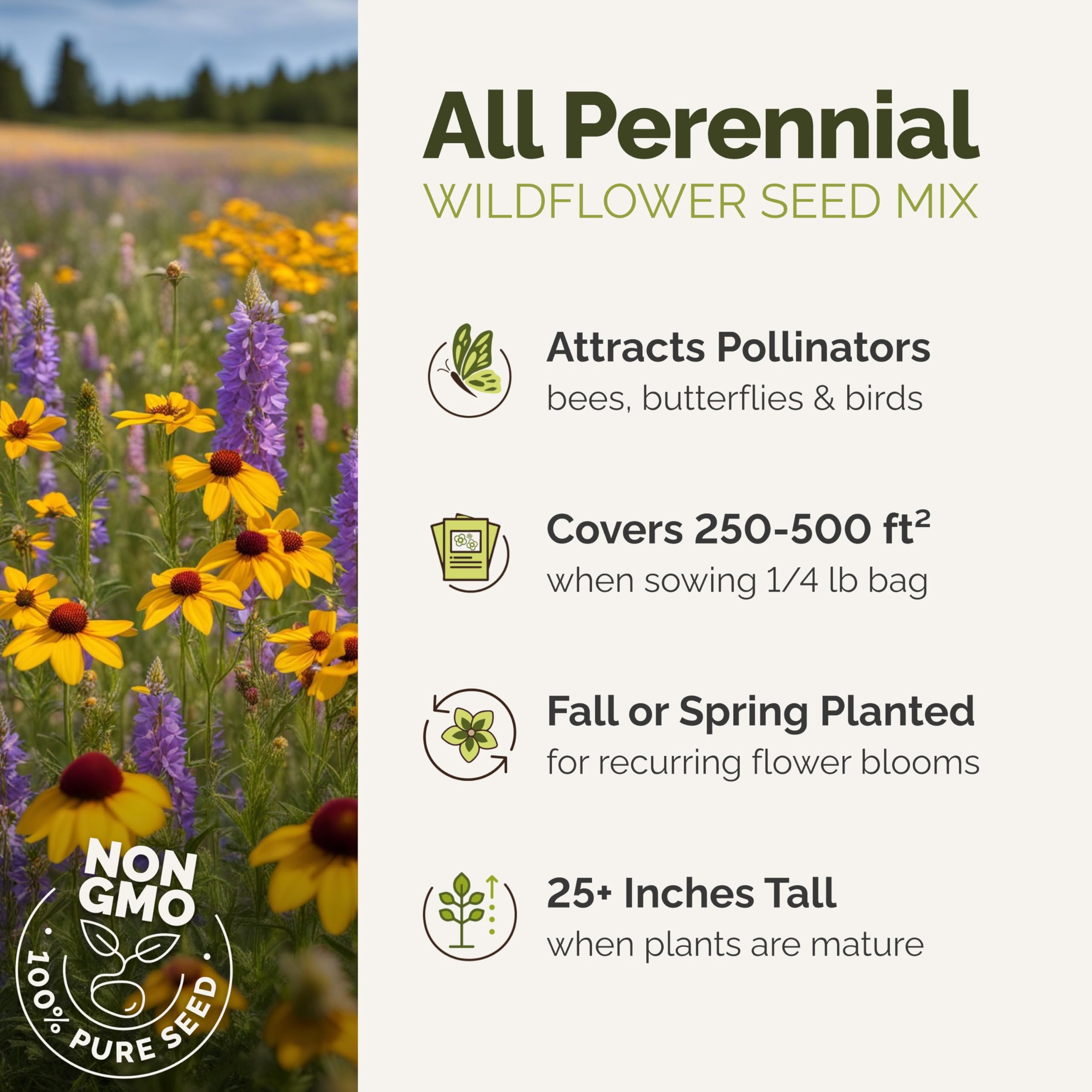 Eden Brothers All Perennial Wildflower Mixed Seeds for Planting, 1/4 lb, 120,000+ Seeds with Lupine, Shasta Daisy | Attracts Pollinators, Plant in Spring or Fall, Zones 3, 4, 5, 6, 7, 8, 9, 10