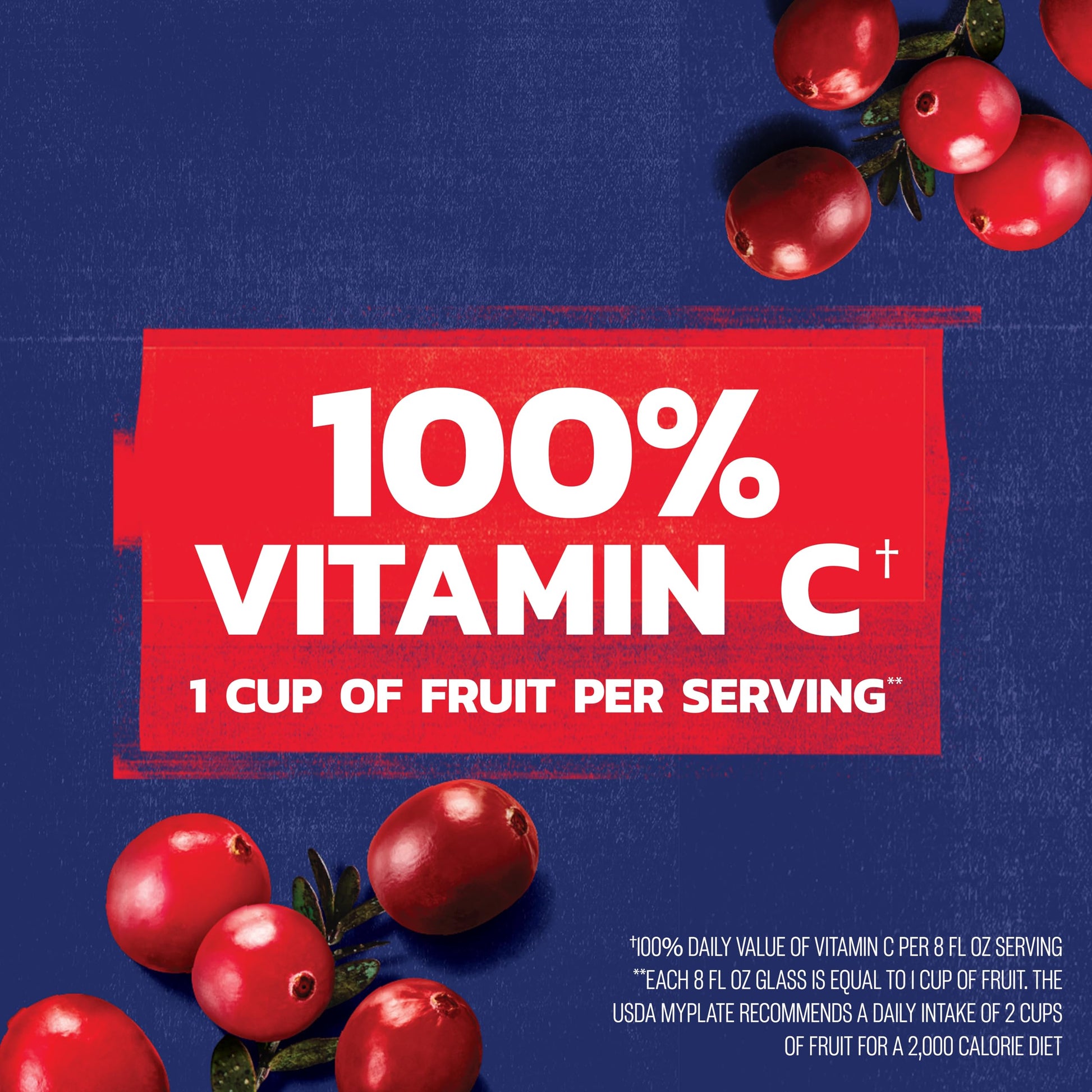 Ocean Spray® 100% Juice Cranberry Juice Blend, 10 Fl Oz, 6 Count (Pack of 1)
