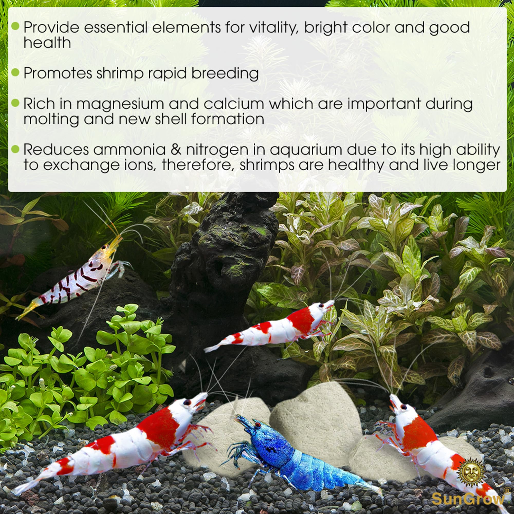 SunGrow Shrimp Rocks, Calcium, Magnesium Rocks for Crayfish, Hermit Crab, Snails, Crustacean Care, Aquarium Decor for Crystal Red, Amano and Ghost Shrimps, Nano Tank Accessories, Fish Tank Supplies