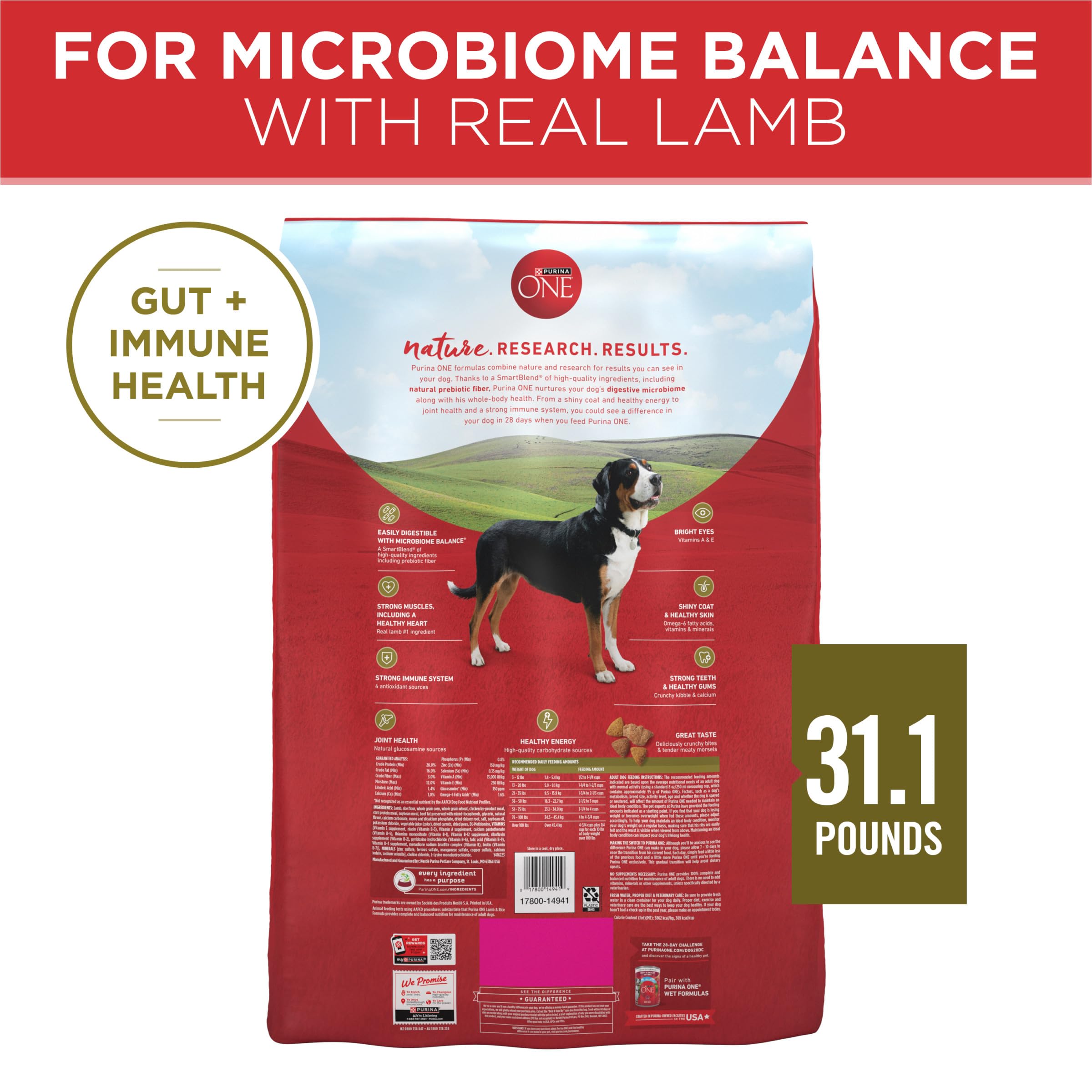 Purina ONE Dry Dog Food Lamb and Rice Formula - 31.1 lb. Bag