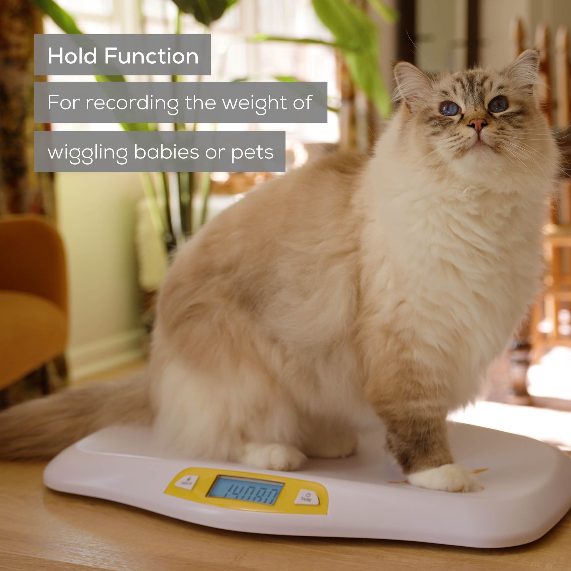 Beurer BY80 Digital Baby Scale, Infant Scale for Weighing in Pounds, Ounces, or Kilograms up to 44 lbs, Newborn Baby Scale with Hold Function, Pet Scale for Cats and Dogs
