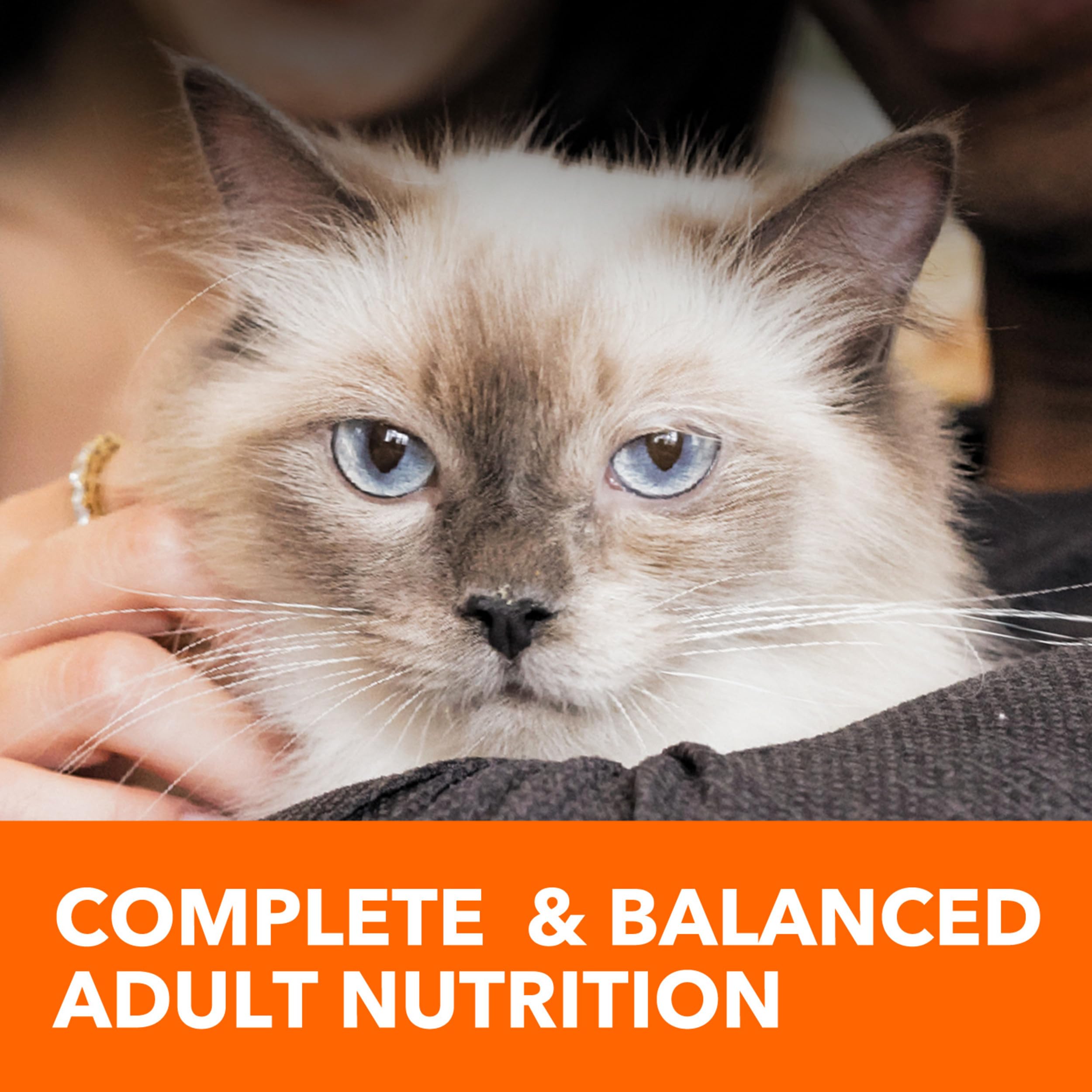 IAMS Proactive Health Adult Urinary Tract Health Dry Cat Food with Chicken, 7 lb. Bag