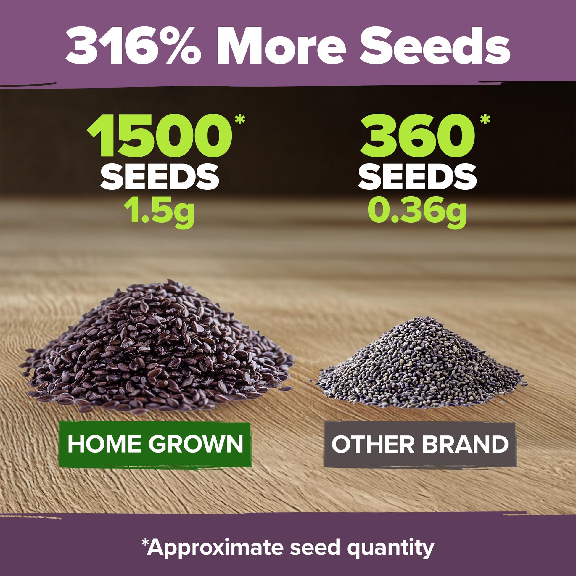 HOME GROWN 𝗨𝗦𝗔 𝗣𝗥𝗘𝗠𝗜𝗨𝗠 English Lavender Seeds 1,500+ 𝗡𝗢𝗡-𝗚𝗠𝗢 Wildflower Seed for Planting Indoor/Outdoor, High Germination, Plant Flower Seeds (Lavandula antustifolia)