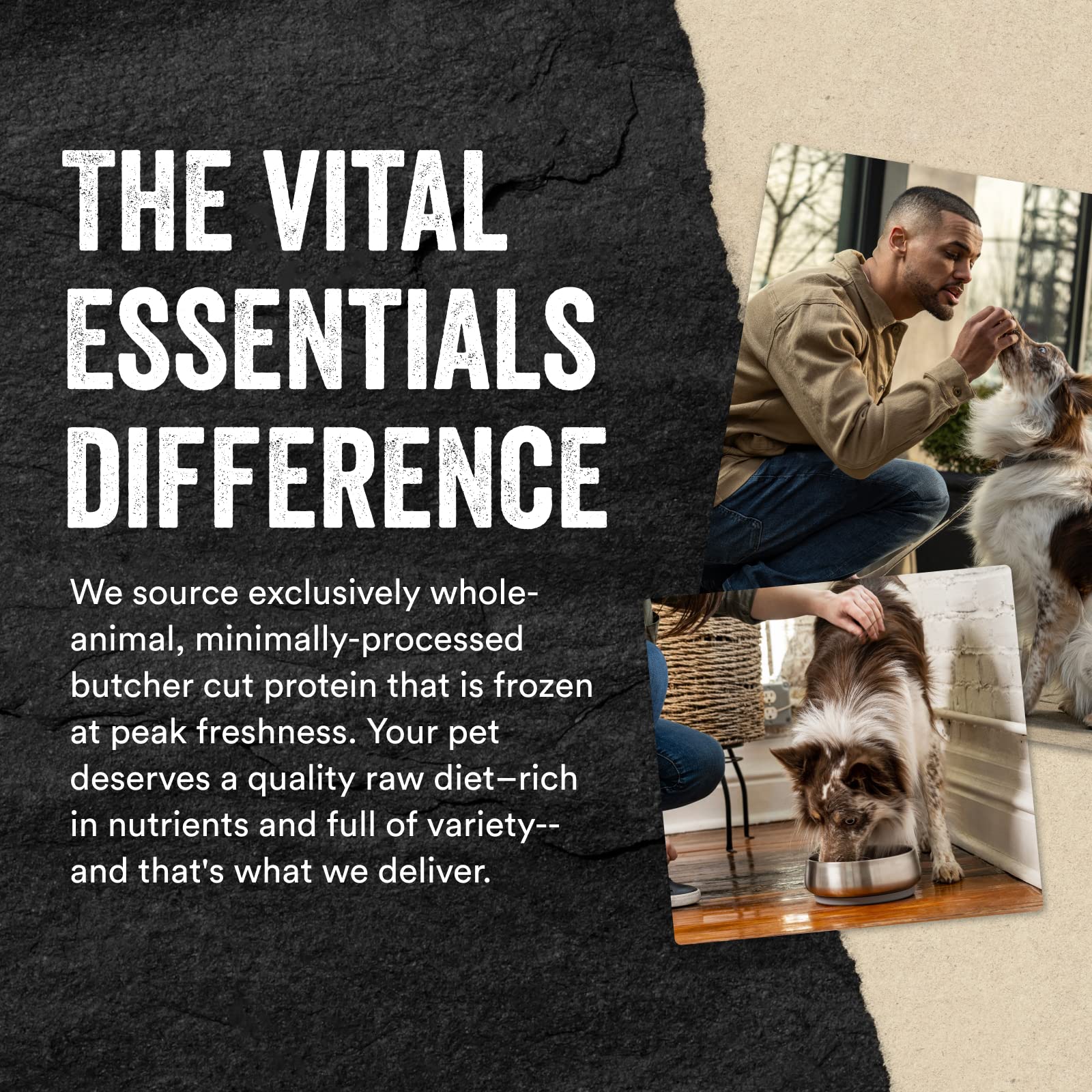 Vital Essentials Beef Liver Dog Treats, 2.1 oz | Freeze-Dried Raw | Single Ingredient | Premium Quality High Protein Training Treats | Grain Free, Gluten Free, Filler Free