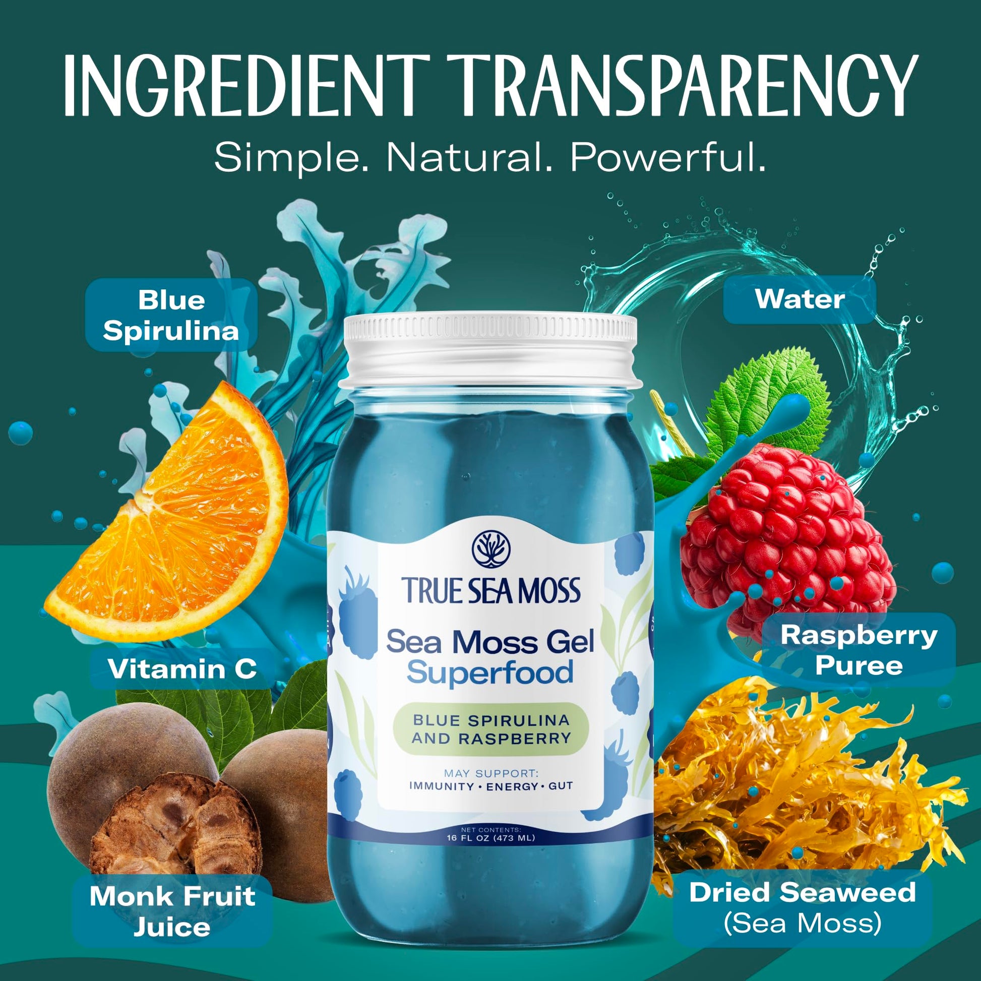 TrueSeaMoss Sea Moss Gel – Made in USA – Wildcrafted Seamoss, Fresh Fruits & Sea Vegetables – Blue Spirulina, Pack of 1 (Labels may Vary)