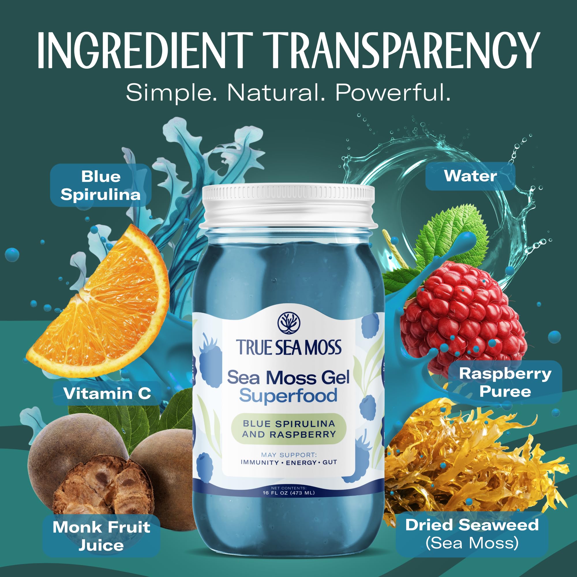 TrueSeaMoss Sea Moss Gel – Made in USA – Wildcrafted Seamoss, Fresh Fruits & Sea Vegetables – Blue Spirulina, Pack of 1 (Labels may Vary)