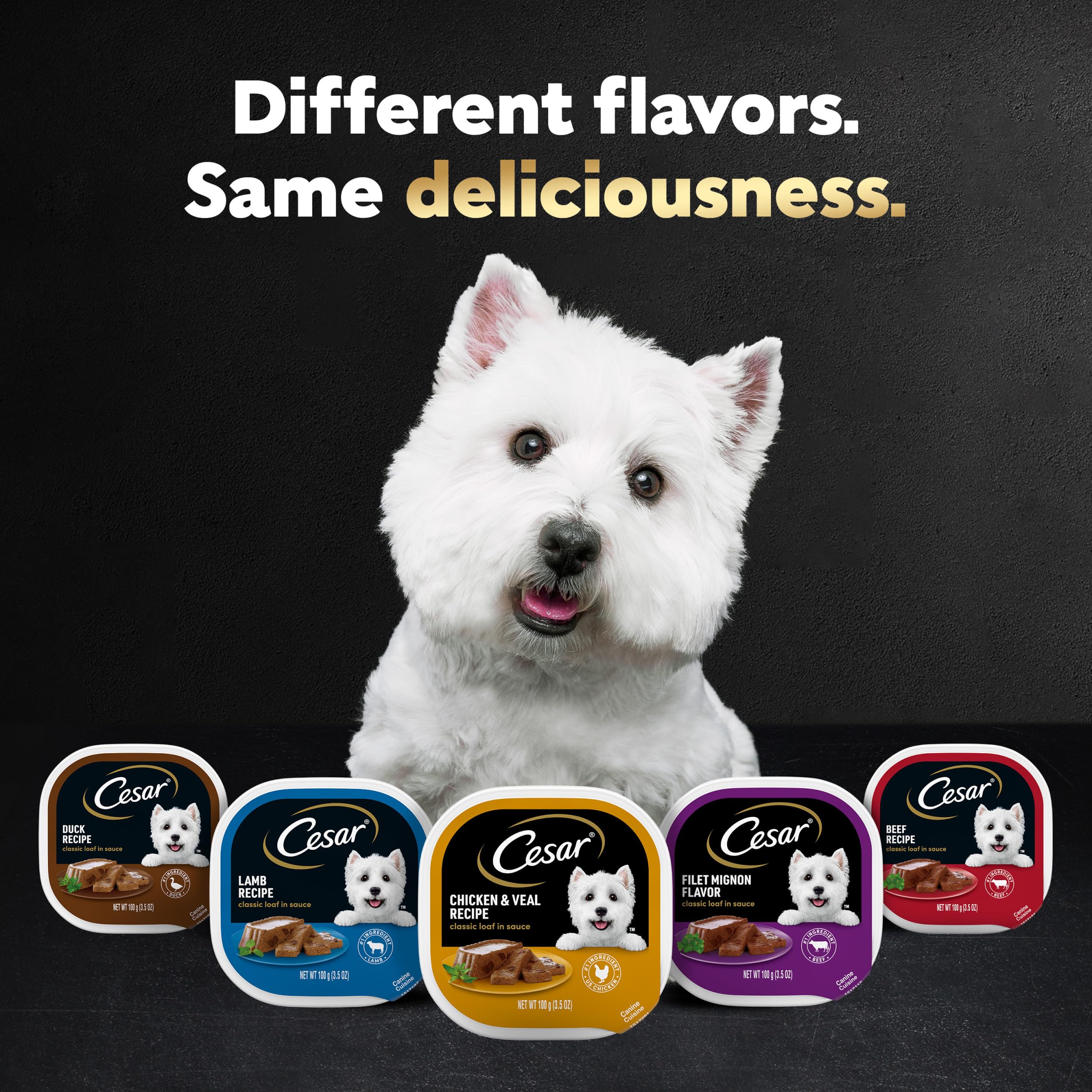 Cesar Wet Dog Food Classic Loaf in Sauce Beef Recipe, Filet Mignon, Grilled Chicken and Porterhouse Steak Variety Pack, 3.5 oz. Easy Peel Trays (24 Count, Pack of 1)