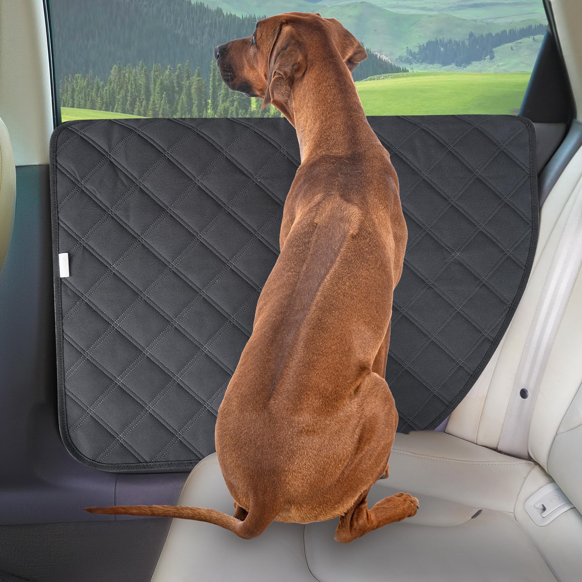 ALLANSING Dog Car Door Protector - Anti-Scratch/Stain-Resistant, Window-Roll-Compatible, No Tint Damage, 2-Pack, Secure Fit for Car/SUV/Truck