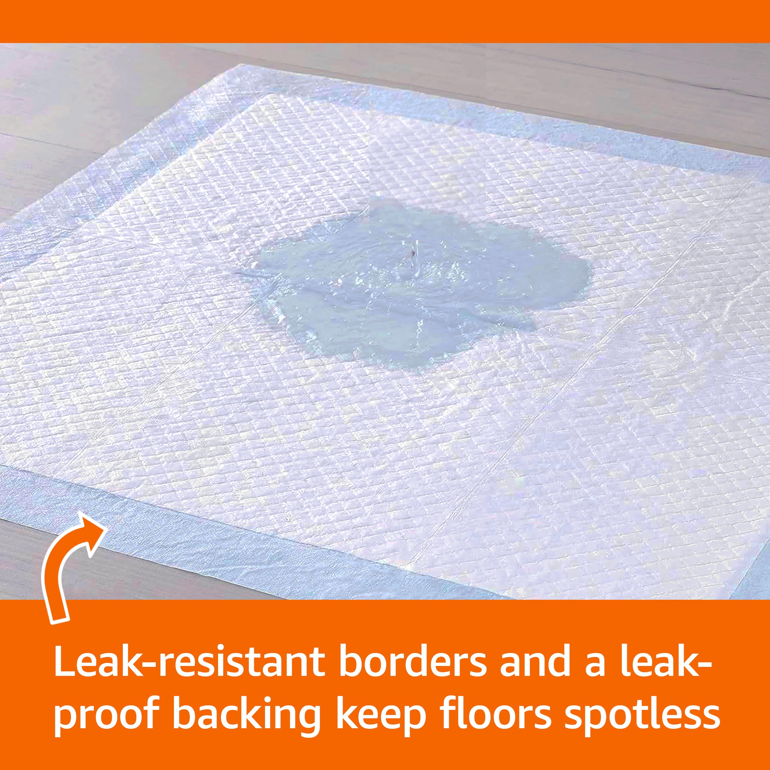 Amazon Basics Dog and Puppy Pee Pads, 5-Layer Leak-Proof Super Absorbent, Quick-Dry Surface, Potty Training, Regular (22x22"), 100 Count, Blue & White