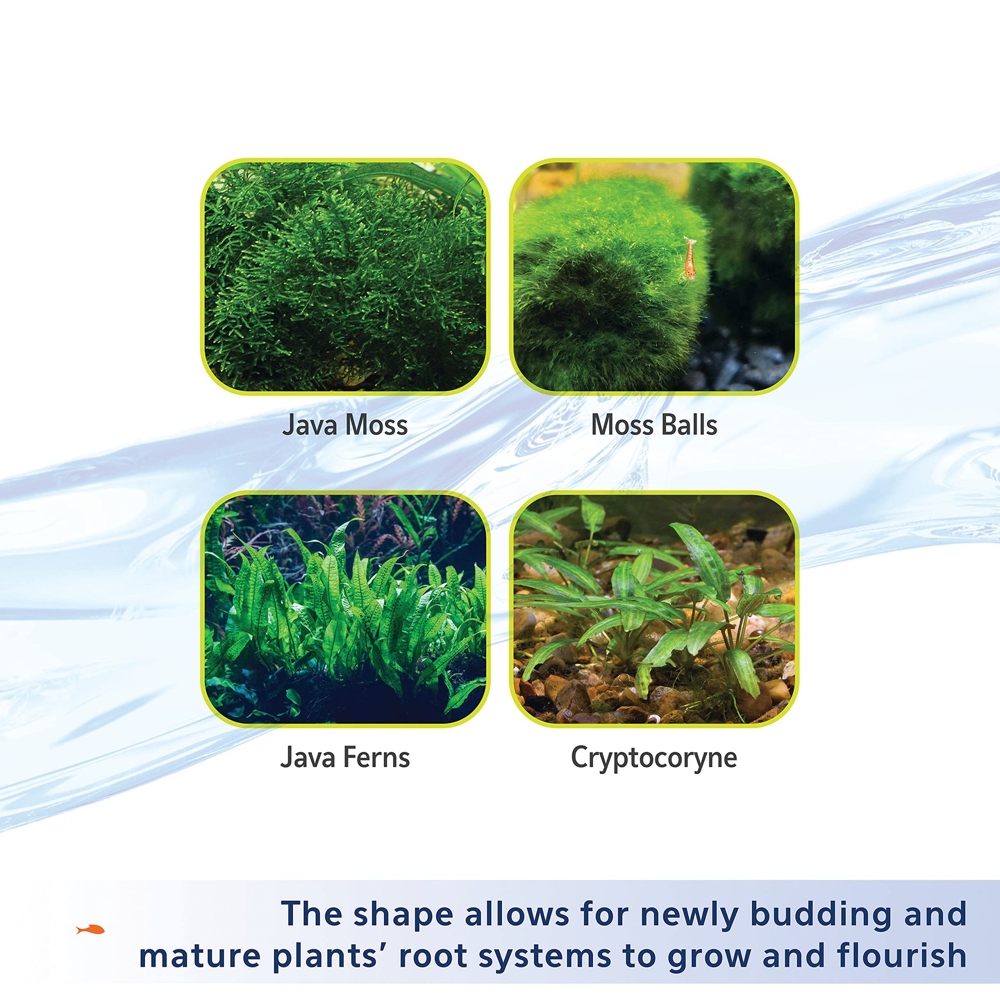 Aqueon Plant and Shrimp Aquarium Substrate, Aqua Soil for Fish Tanks, 5 Pounds