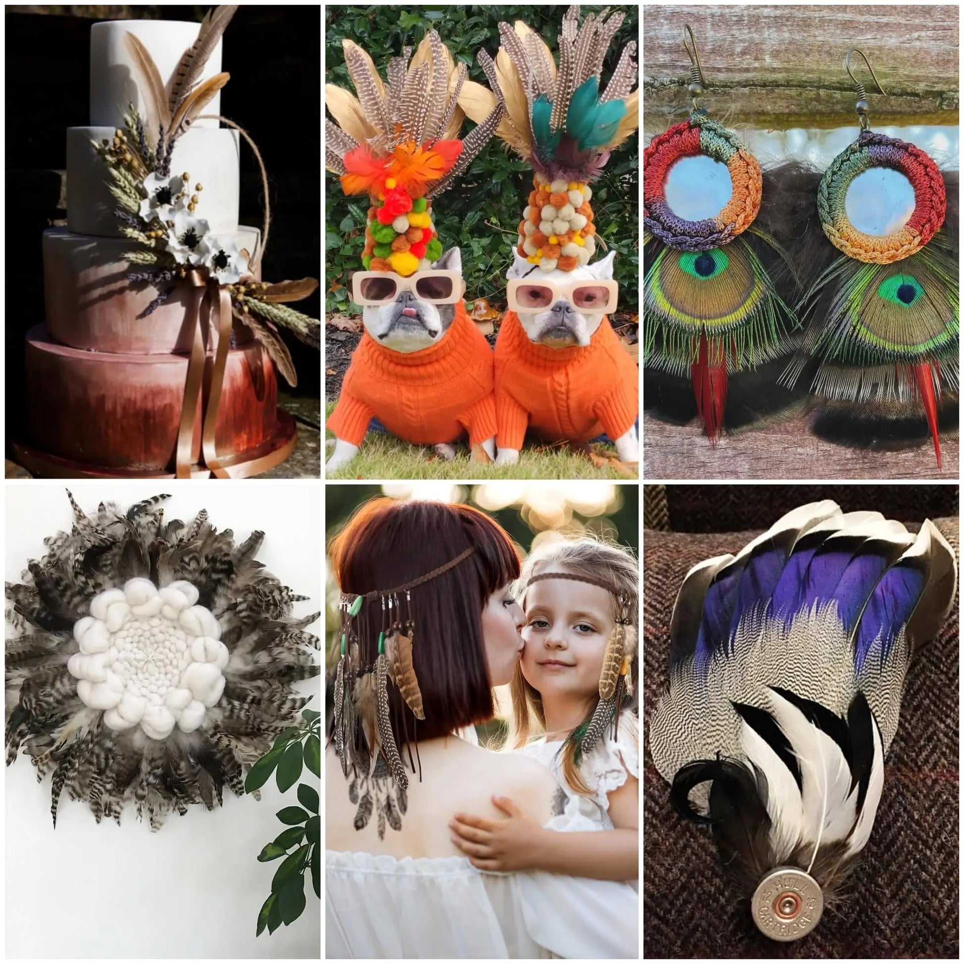 Holmgren 48pcs Natural Feathers Bulk - 6 Styles Assorted Peacock, Pheasant, Turkey Feathers for Craft DIY Jewelry Hat Wedding Home Party Decoration