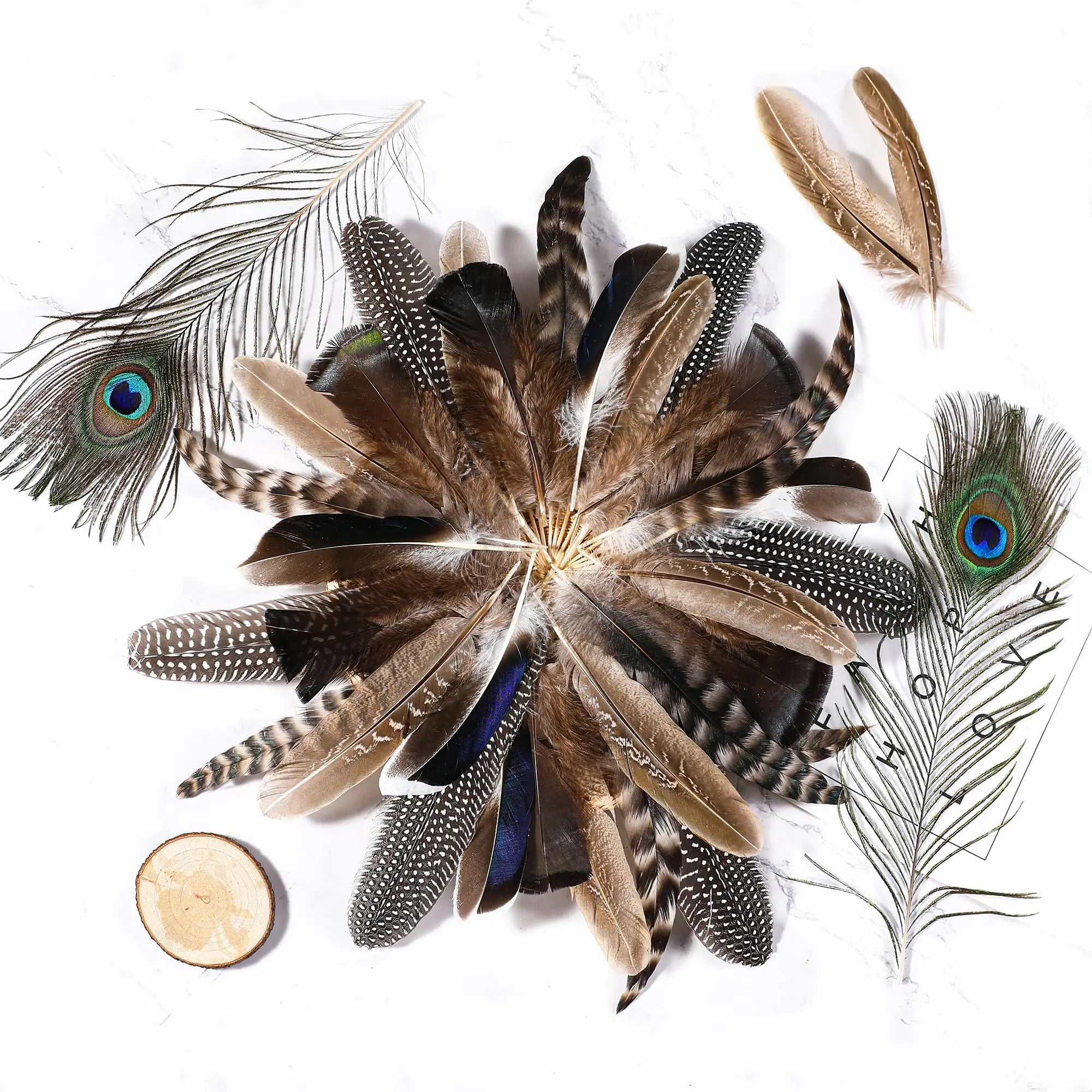 Holmgren 48pcs Natural Feathers Bulk - 6 Styles Assorted Peacock, Pheasant, Turkey Feathers for Craft DIY Jewelry Hat Wedding Home Party Decoration