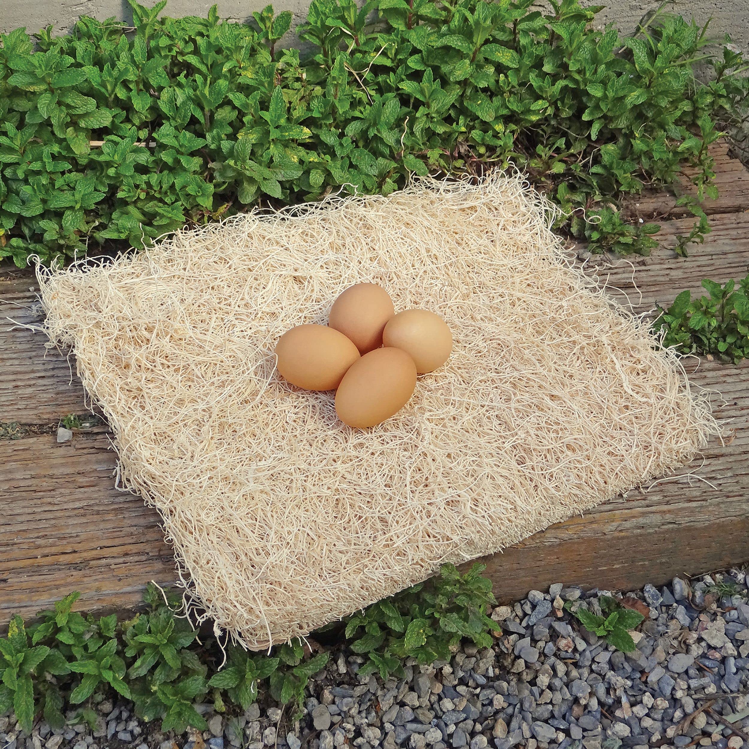 PRECISION PET Chicken Nesting Pads by Petmate – 13” x 13” Premium Chicken Bedding Fit Most Nesting Boxes – 10 Pack,Beige, Made in USA